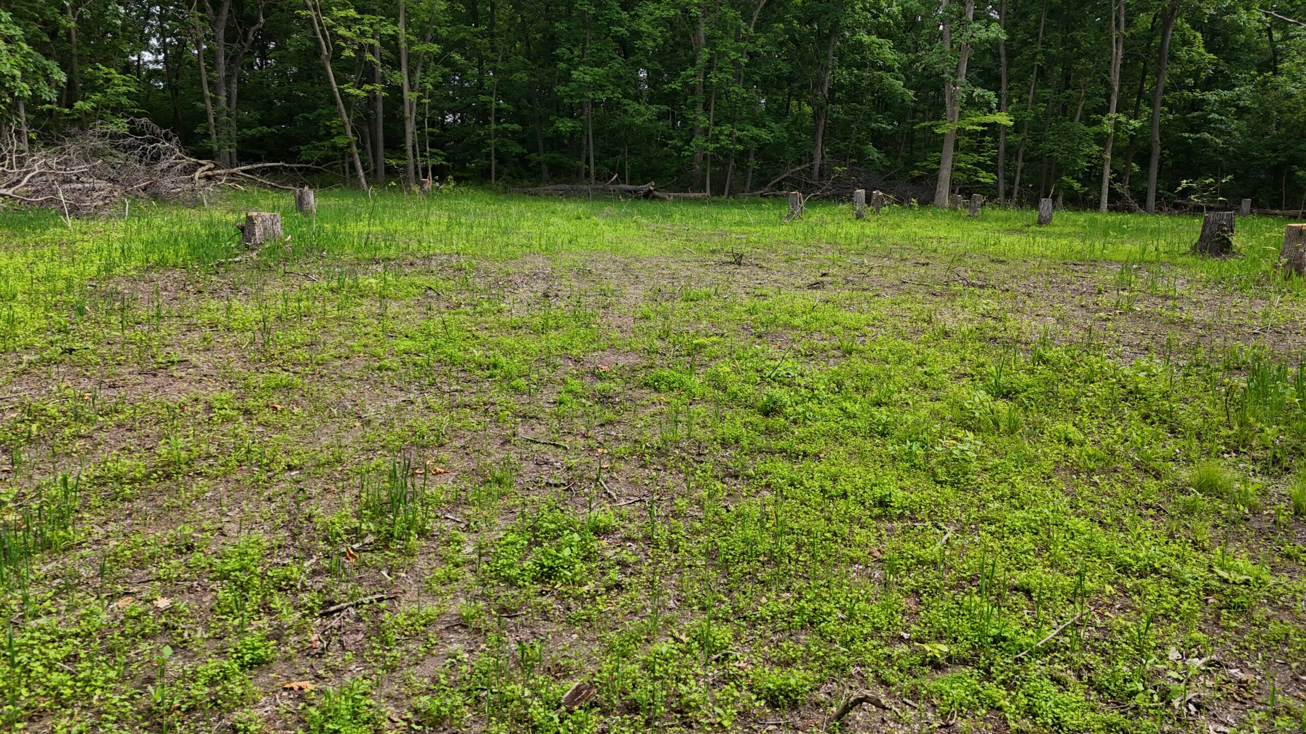 Outstanding Hunting Property in Northwest Knox County, MO