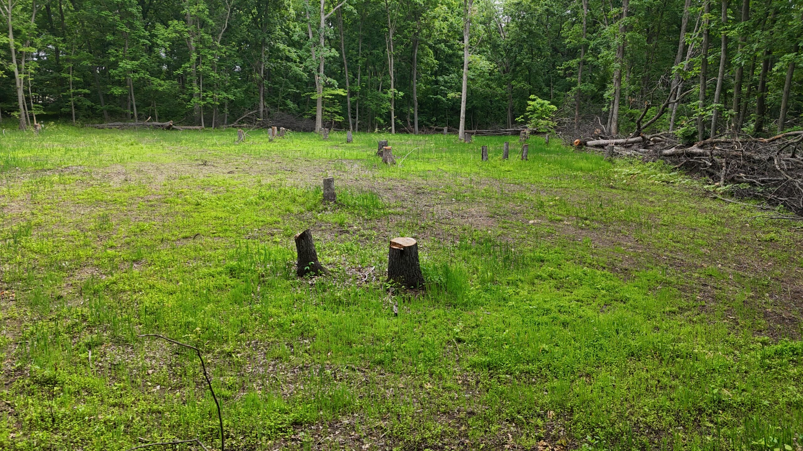 Outstanding Hunting Property in Northwest Knox County, MO