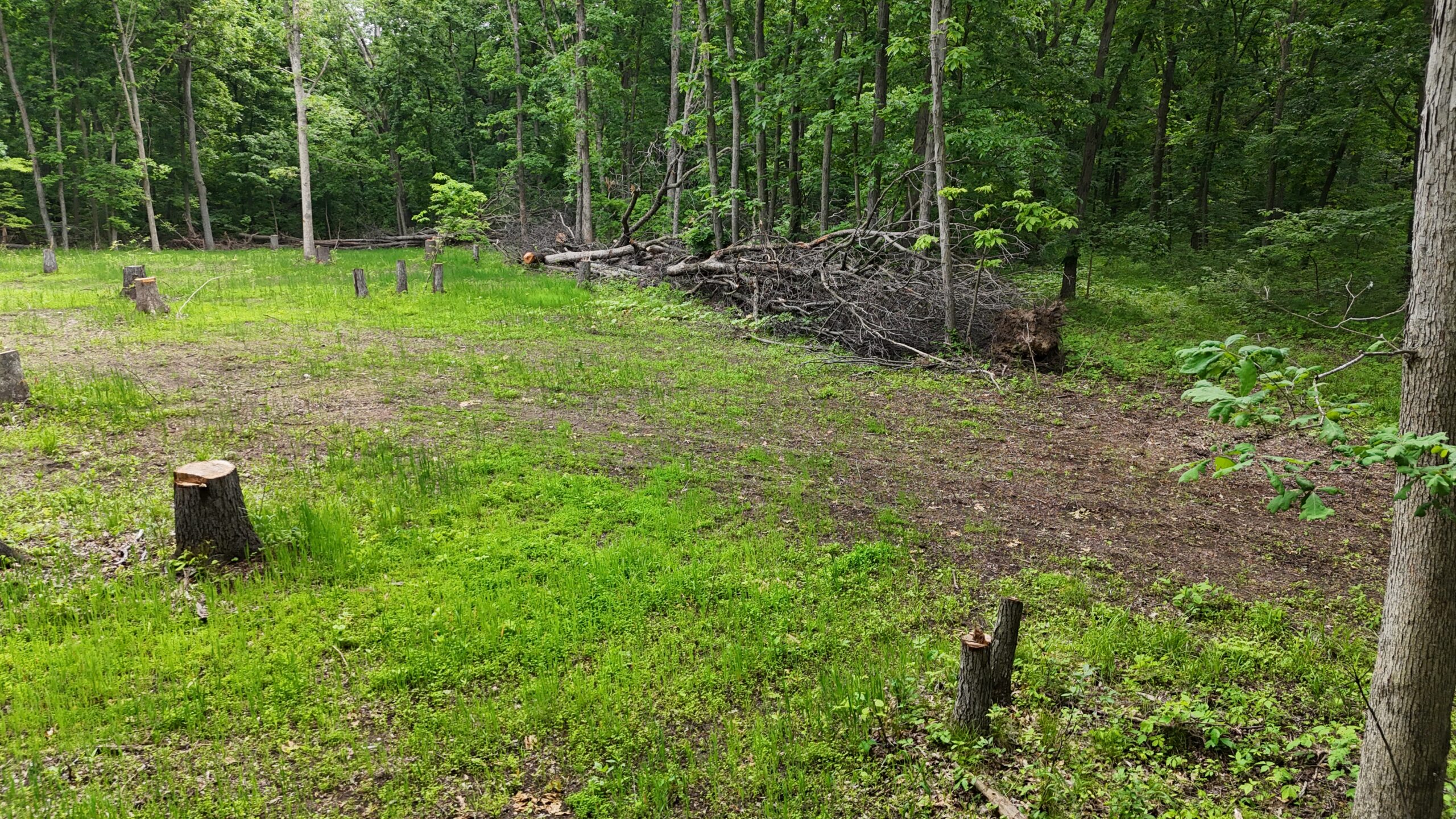 Outstanding Hunting Property in Northwest Knox County, MO