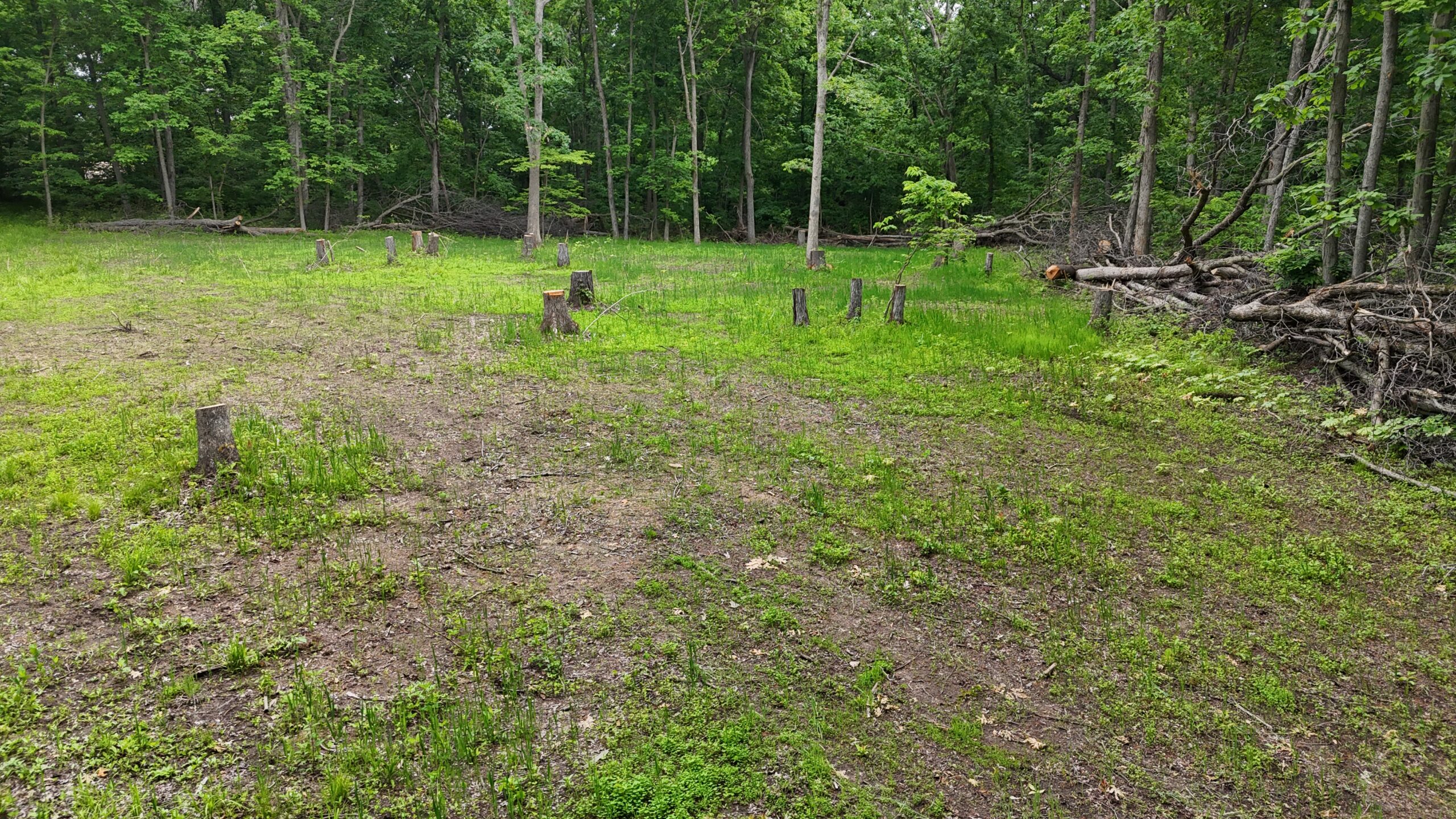 Outstanding Hunting Property in Northwest Knox County, MO