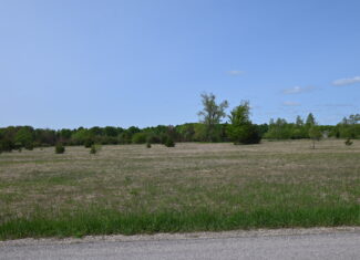 49.85 Acres Great Diversity for a Homestead or Hunting Camp