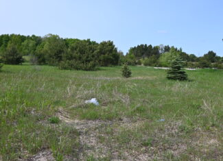 49.85 Acres Great Diversity for a Homestead or Hunting Camp