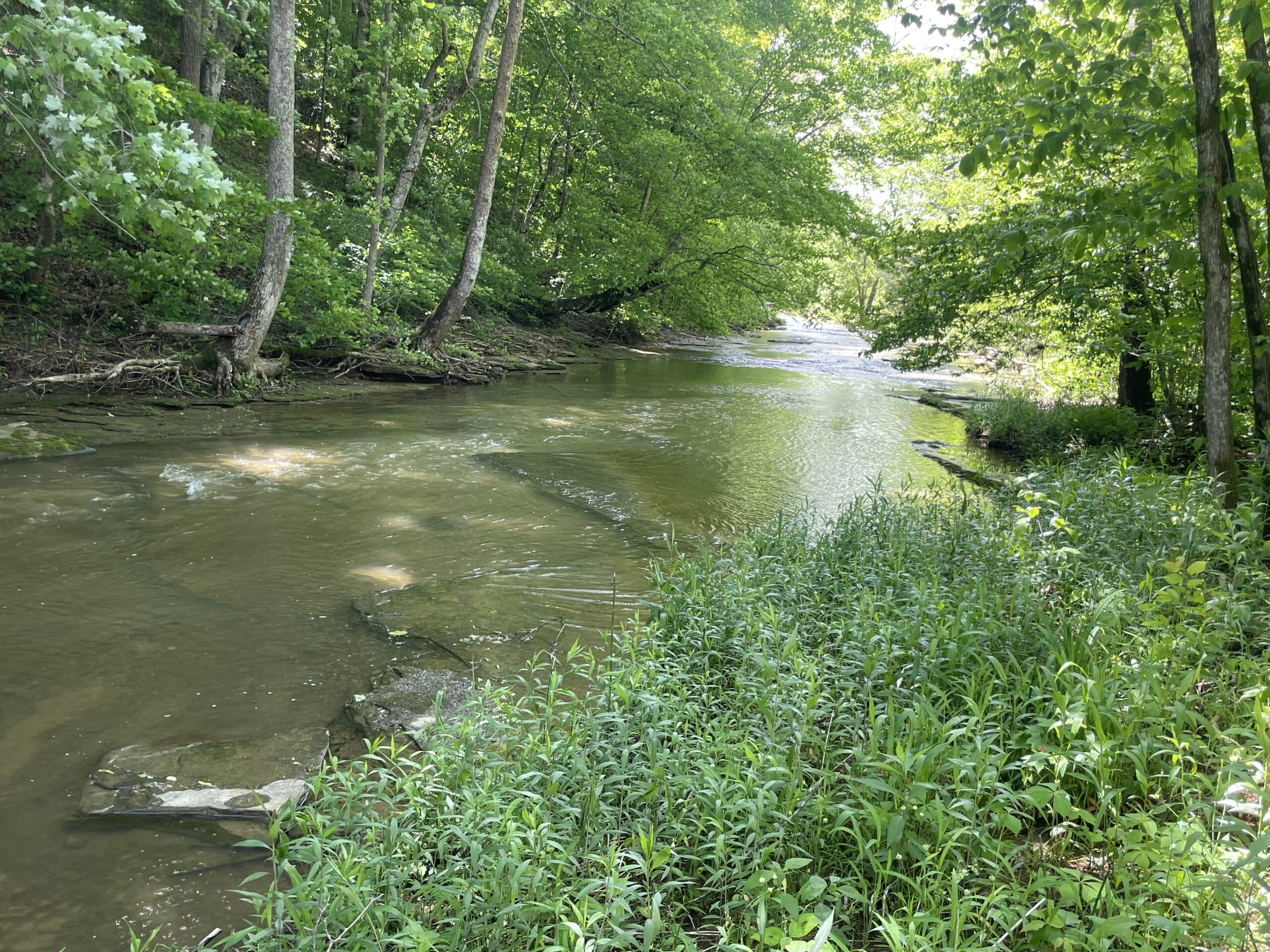 70 Acres of Prime Kentucky Hunting Land Selling in 6 Tracts