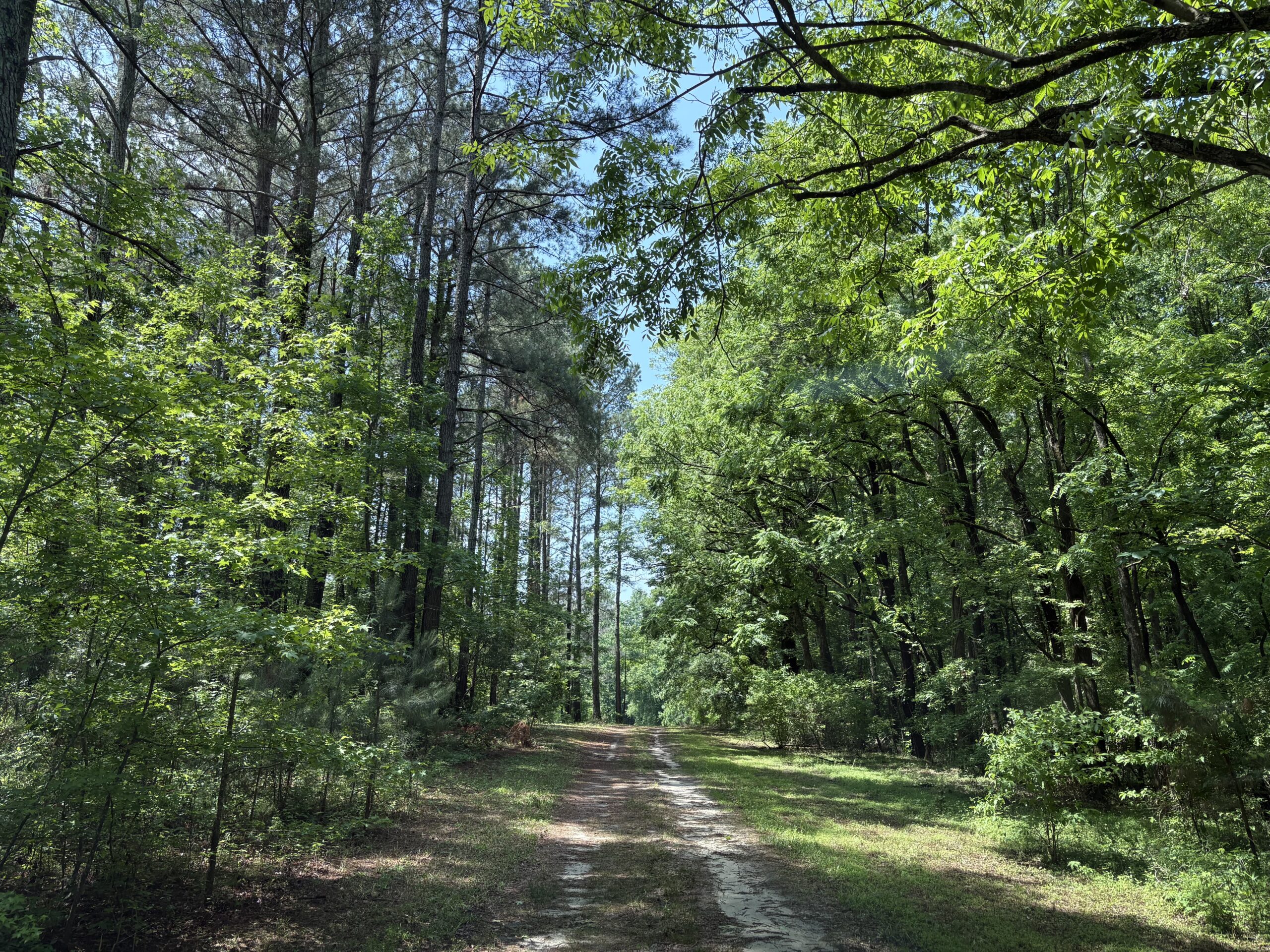 23-AC Country Retreat with Two Homes in Pitt County, NC