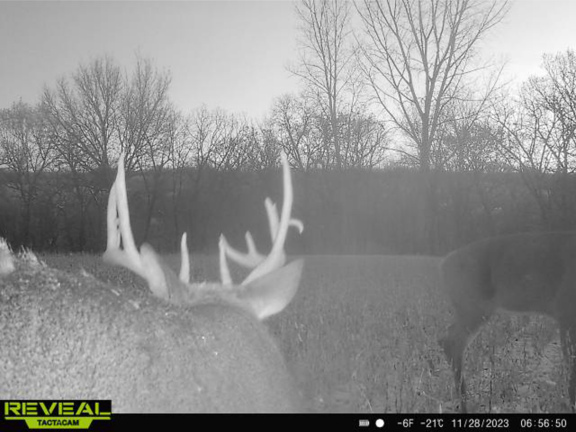 Two Exceptional Tracts Totaling 162 Acres Decorah IA
