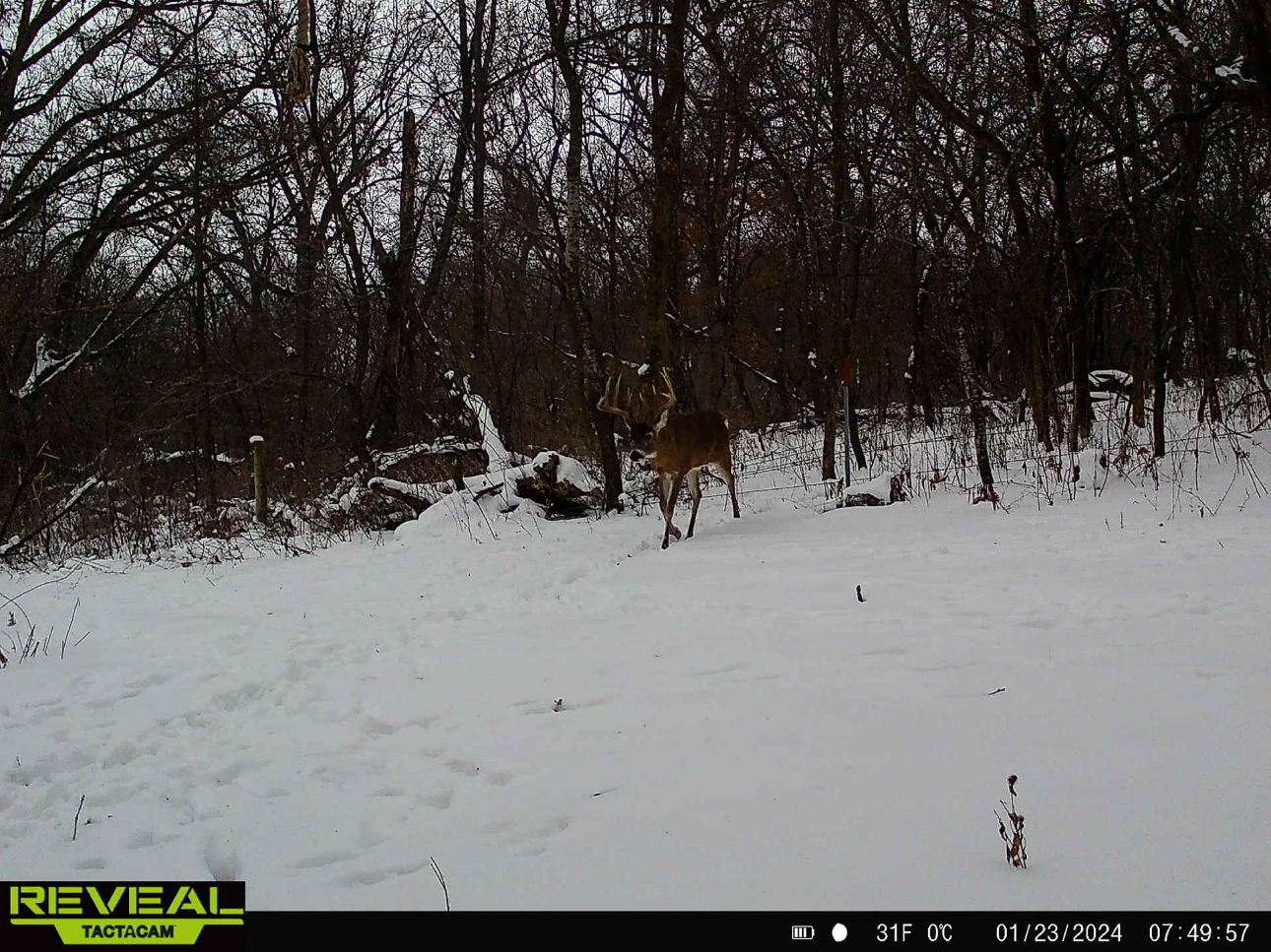 Two Exceptional Tracts Totaling 162 Acres Decorah IA