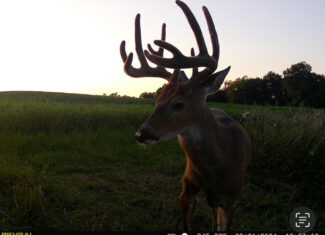 56.72 Acres in Picturesque Driftless Area Decorah IA