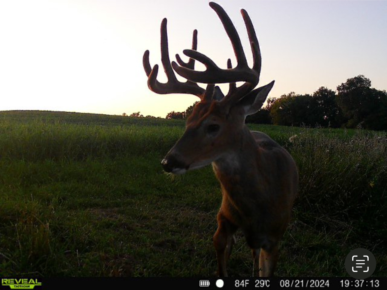 Two Exceptional Tracts Totaling 162 Acres Decorah IA