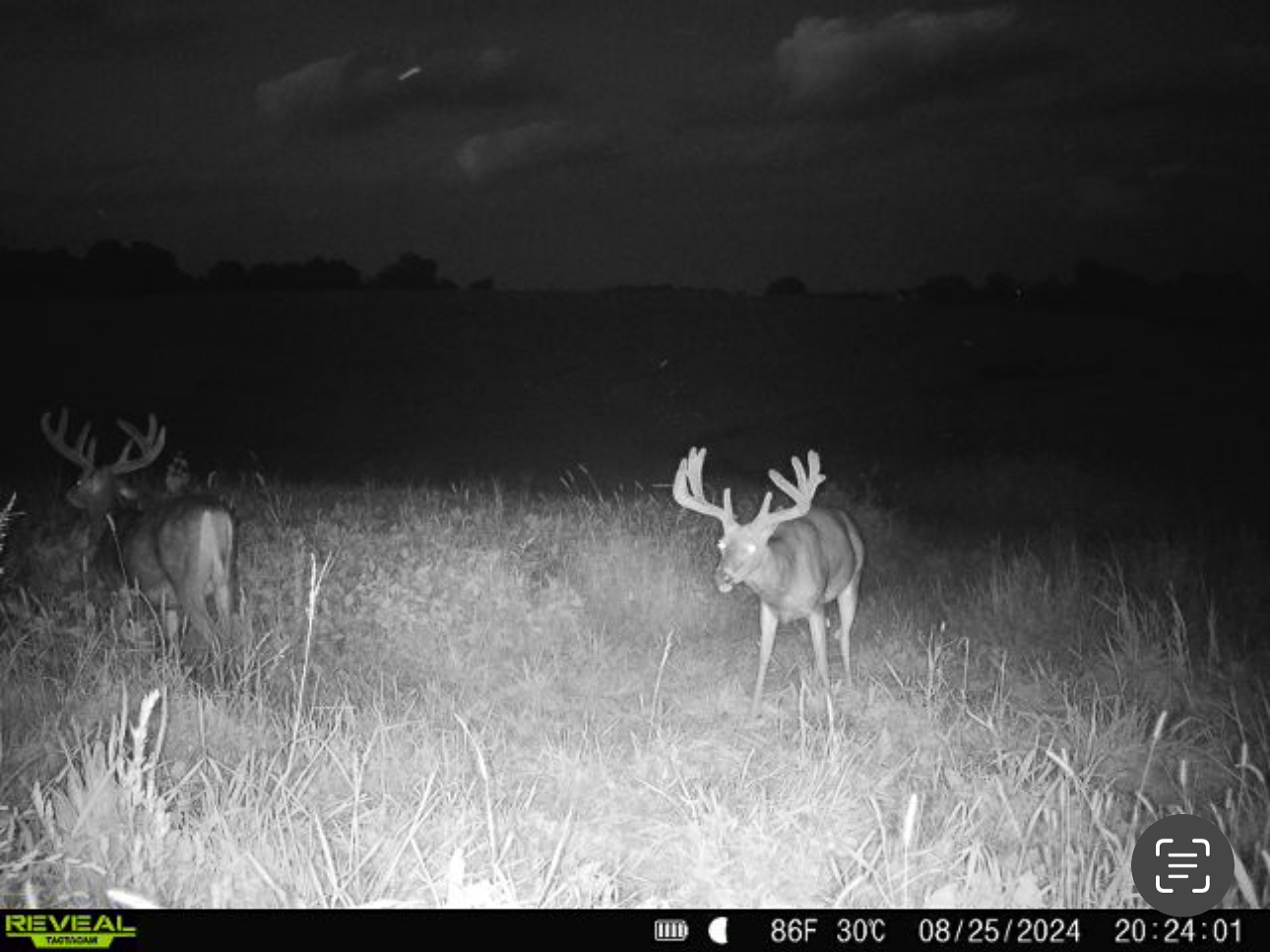 Two Exceptional Tracts Totaling 162 Acres Decorah IA