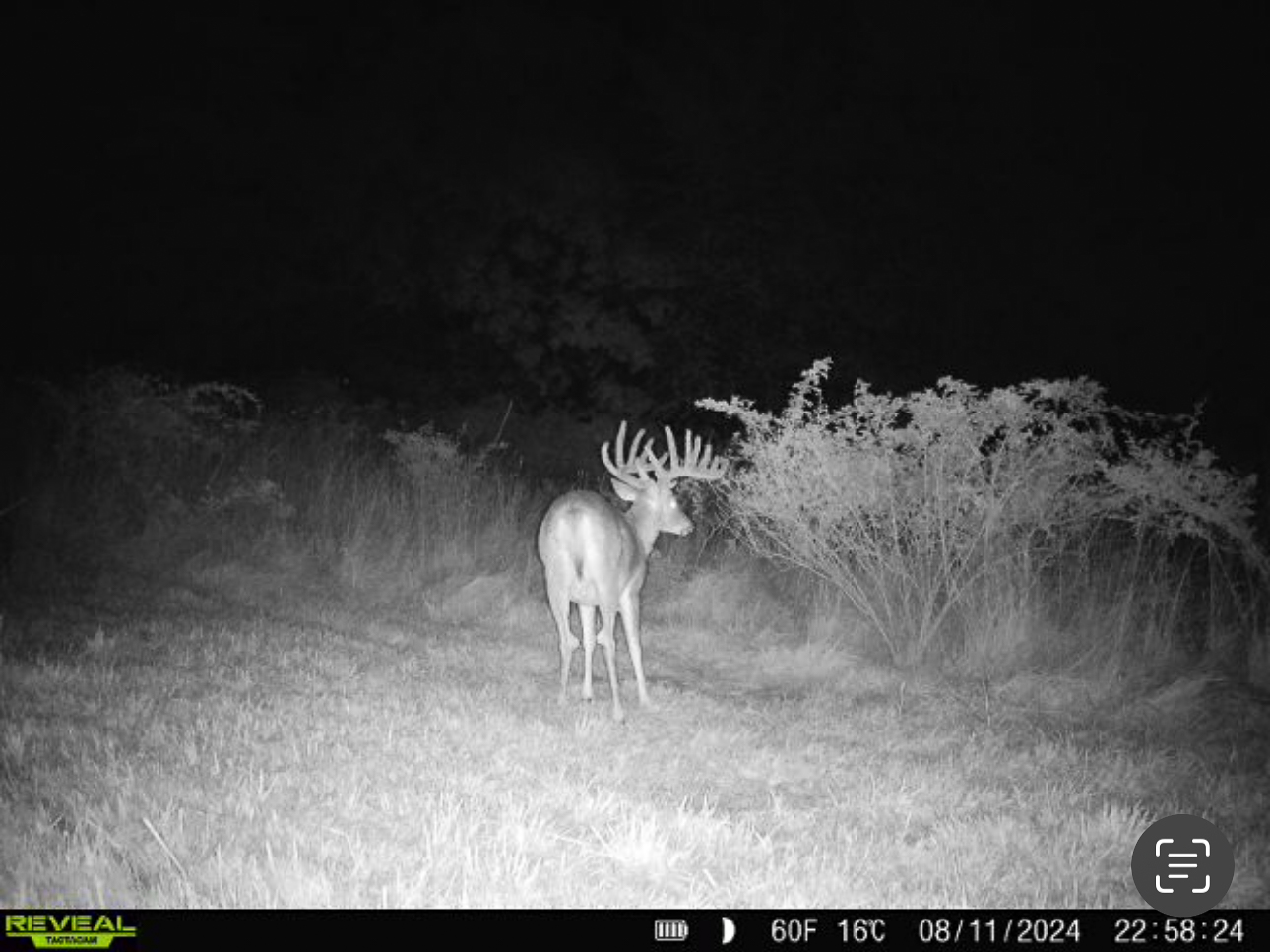 56.72 Acres in Picturesque Driftless Area Decorah IA