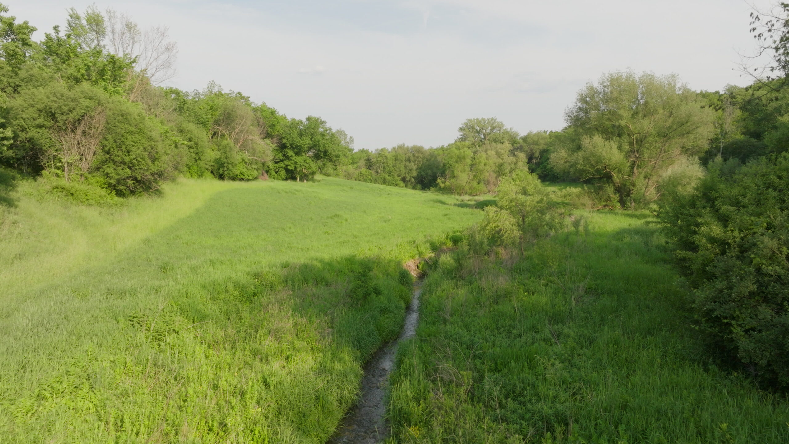 Two Exceptional Tracts Totaling 162 Acres Decorah IA