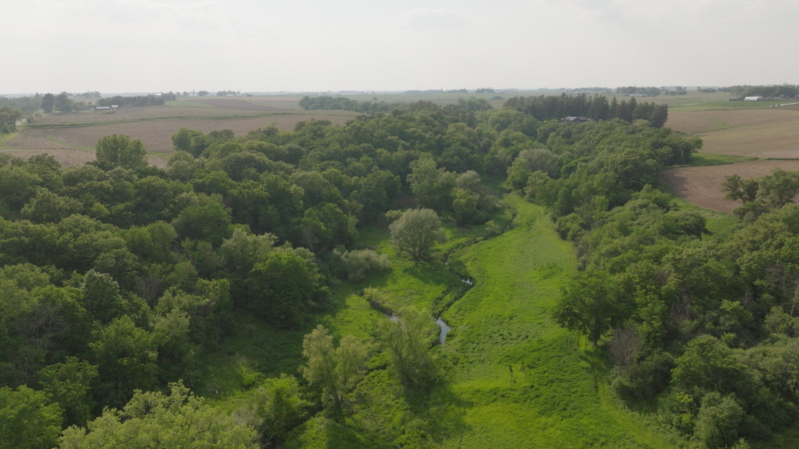 Two Exceptional Tracts Totaling 162 Acres Decorah IA