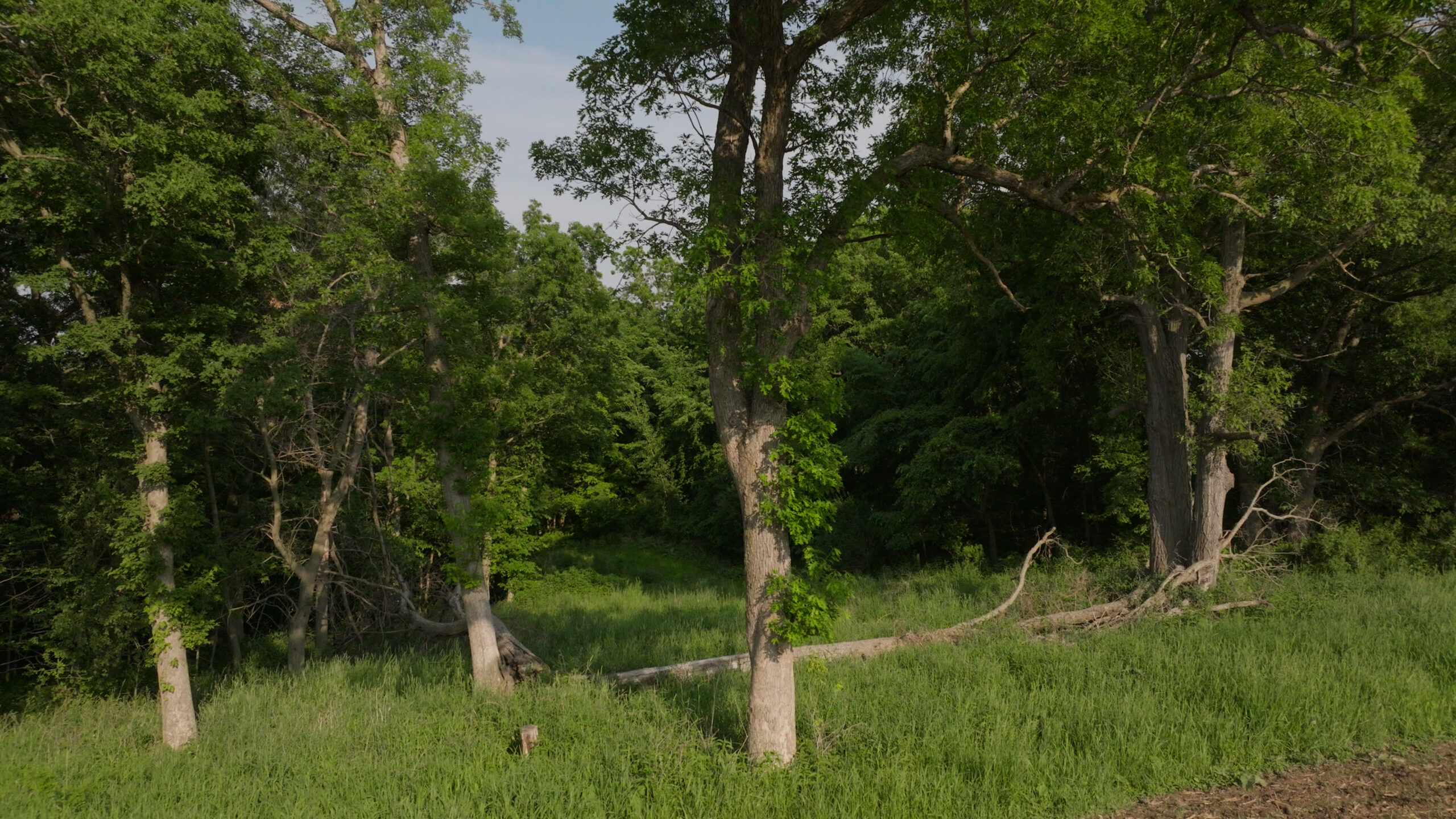 Two Exceptional Tracts Totaling 162 Acres Decorah IA