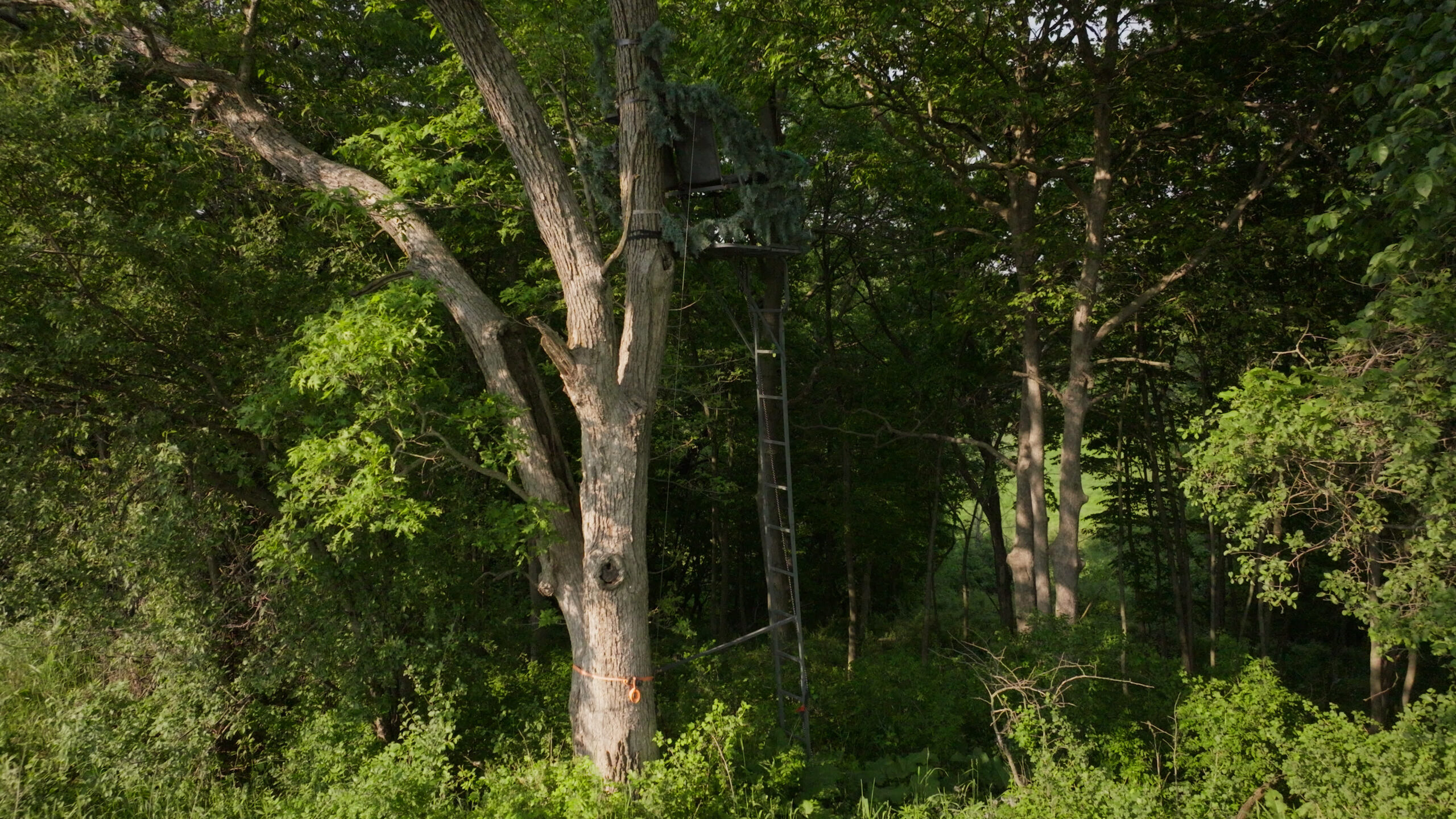 56.72 Acres in Picturesque Driftless Area Decorah IA