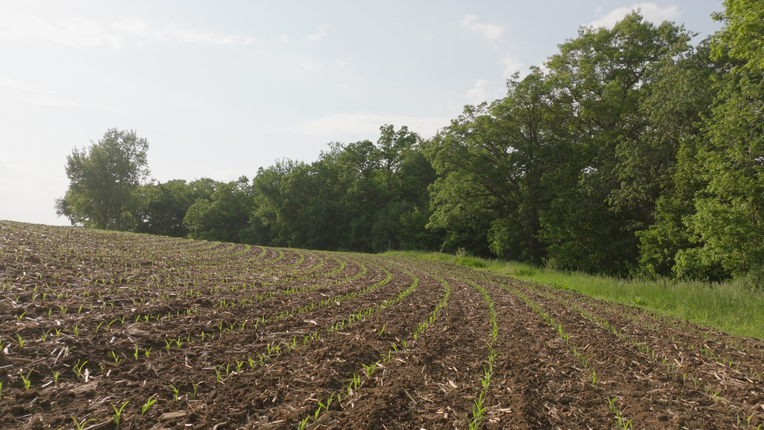 56.72 Acres in Picturesque Driftless Area Decorah IA