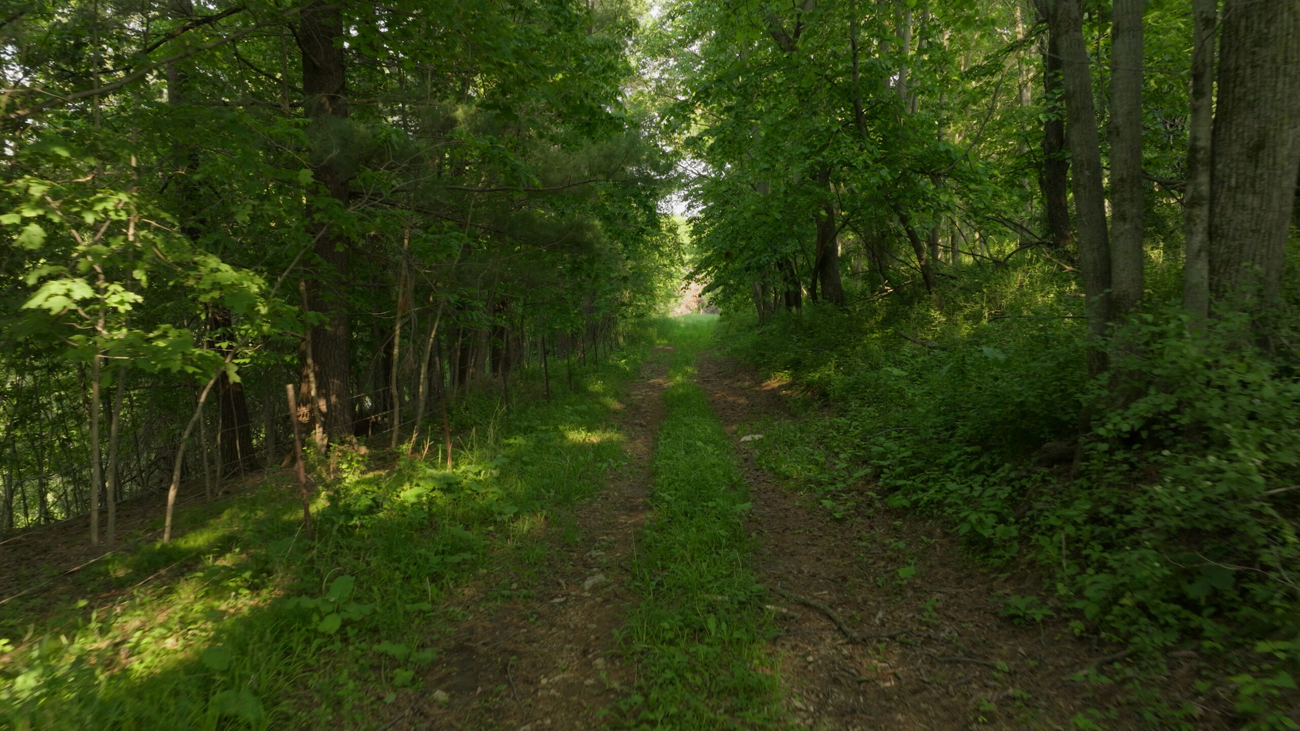 56.72 Acres in Picturesque Driftless Area Decorah IA
