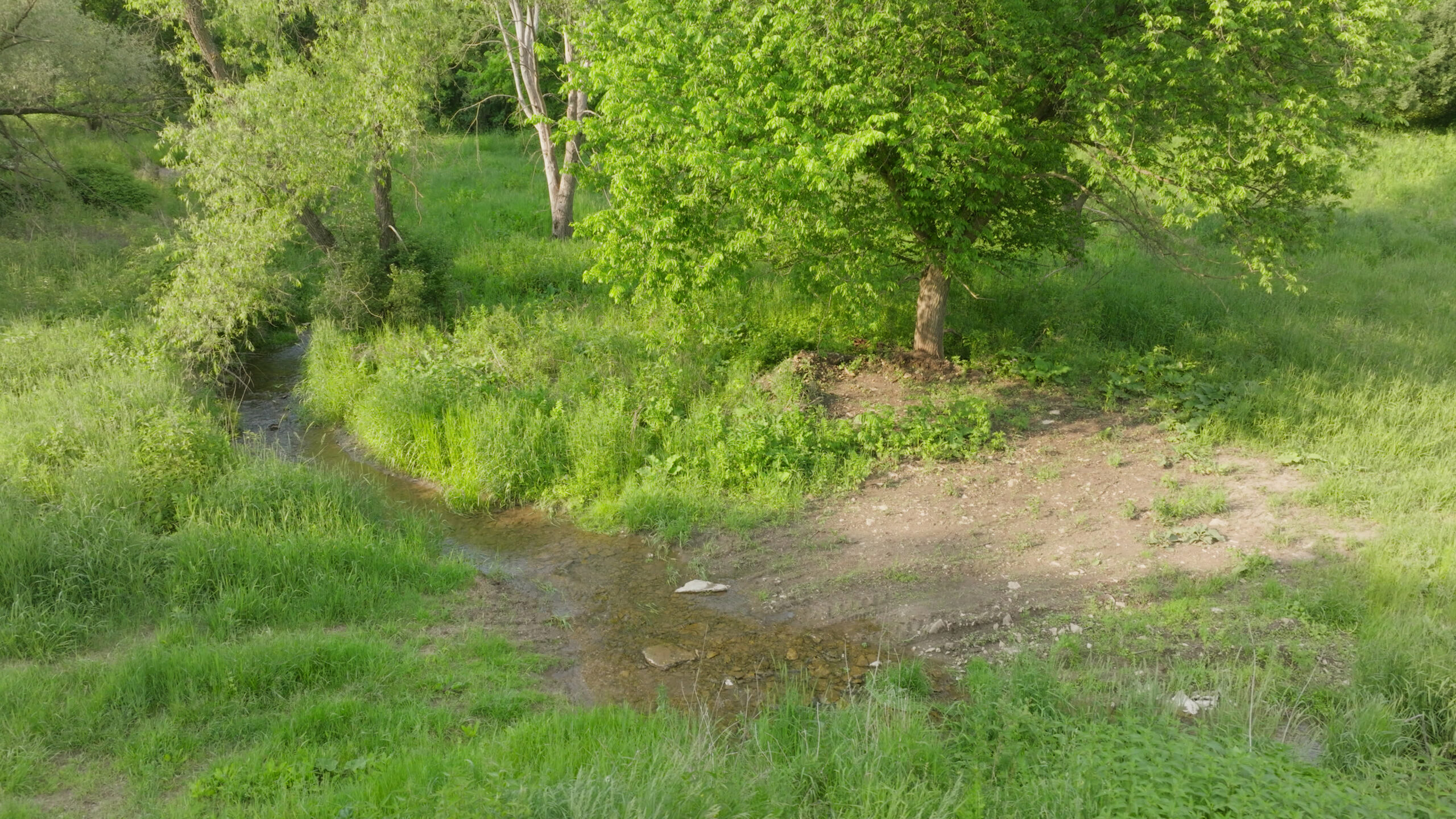 Two Exceptional Tracts Totaling 162 Acres Decorah IA