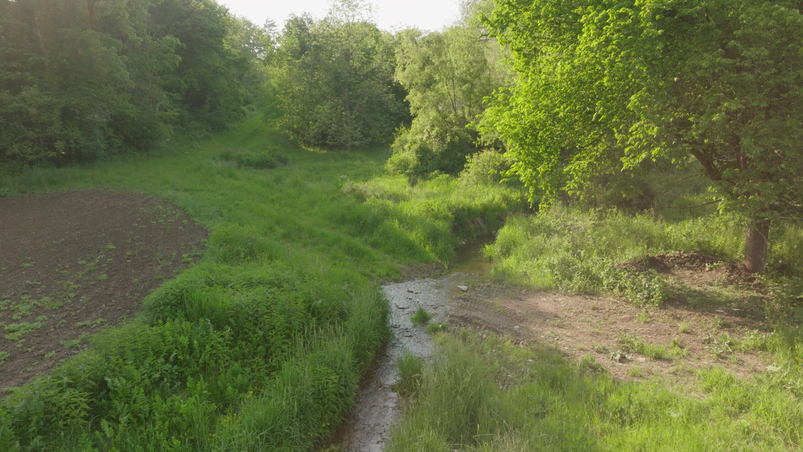 56.72 Acres in Picturesque Driftless Area Decorah IA