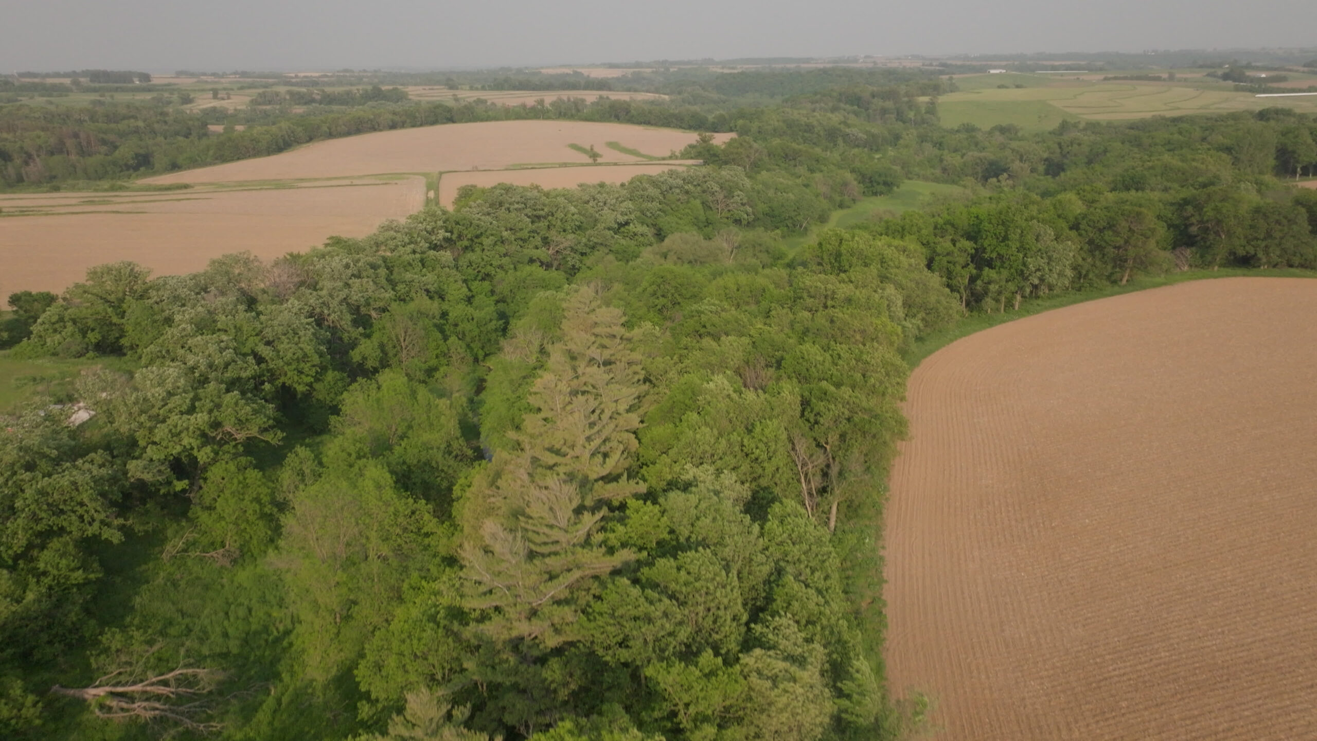 Two Exceptional Tracts Totaling 162 Acres Decorah IA