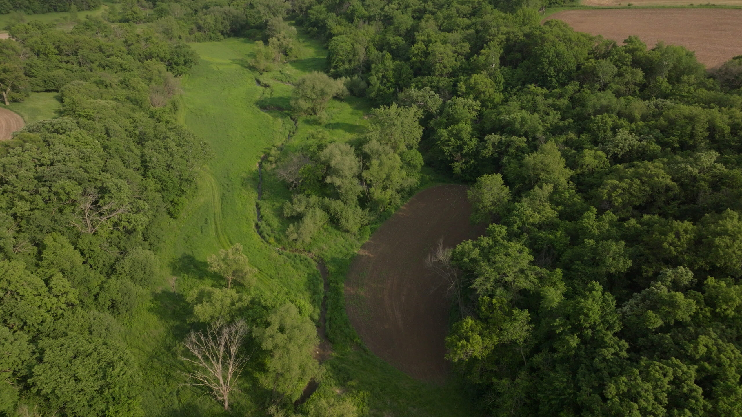 56.72 Acres in Picturesque Driftless Area Decorah IA