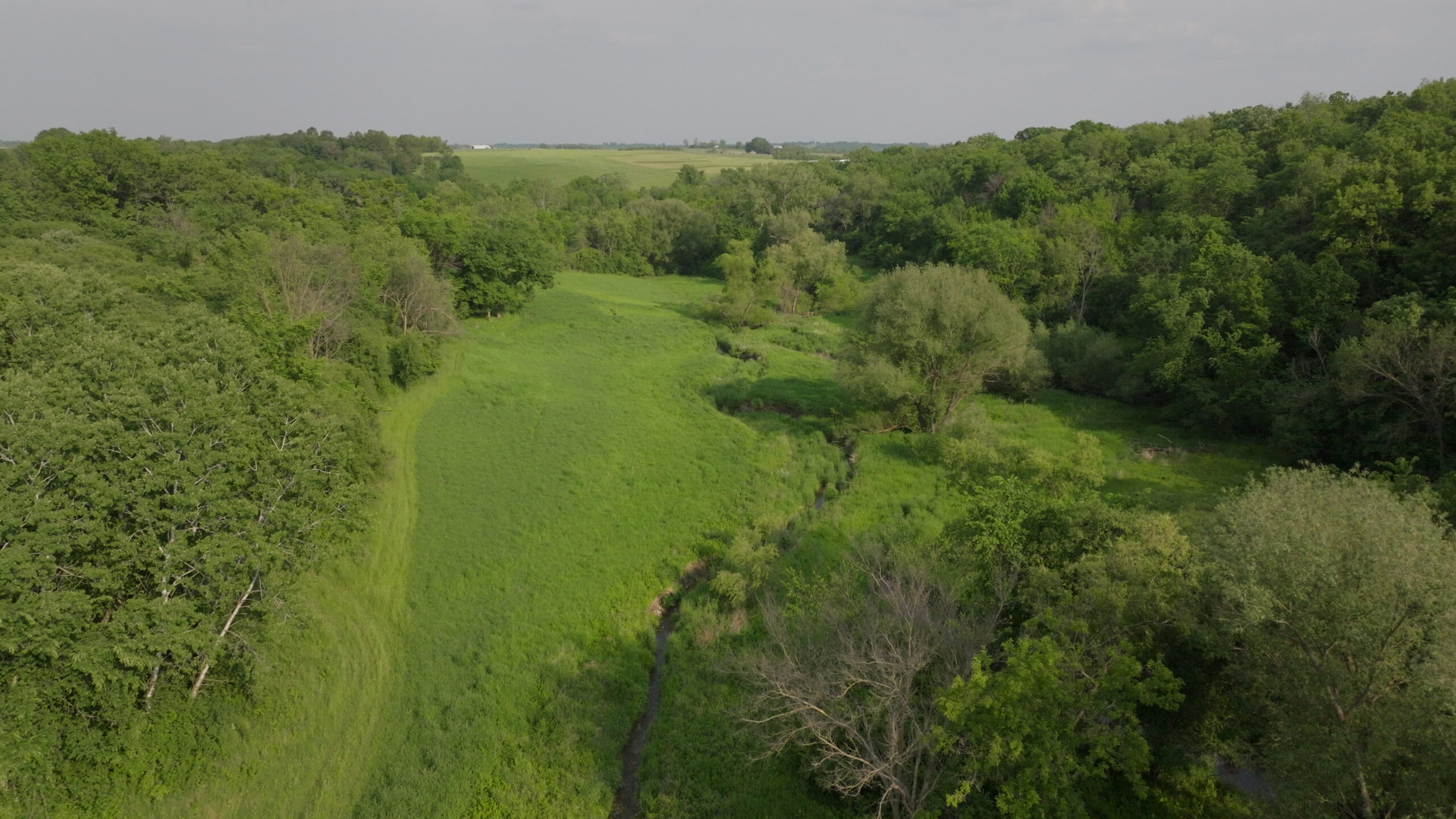 56.72 Acres in Picturesque Driftless Area Decorah IA