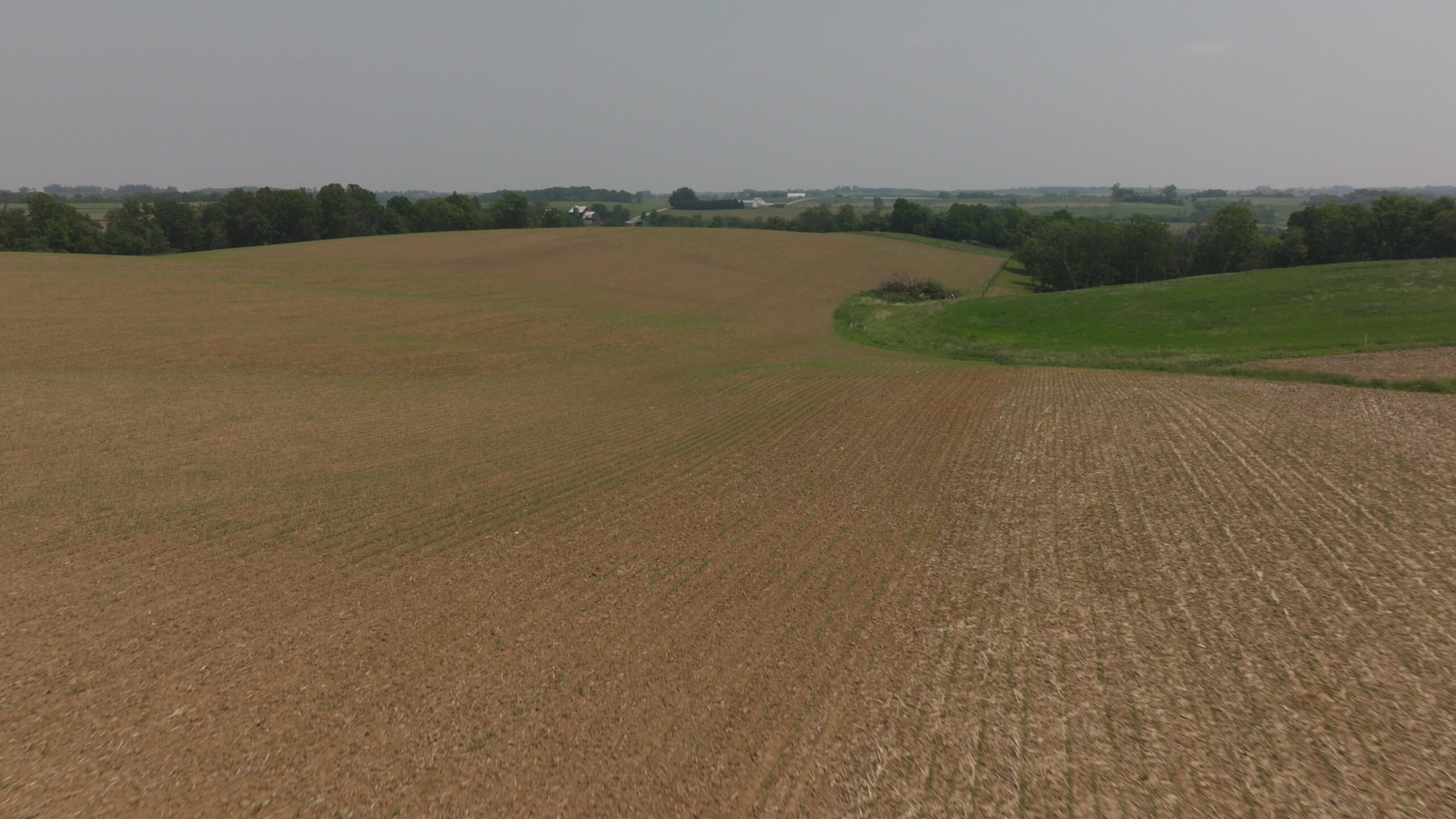 Two Exceptional Tracts Totaling 162 Acres Decorah IA