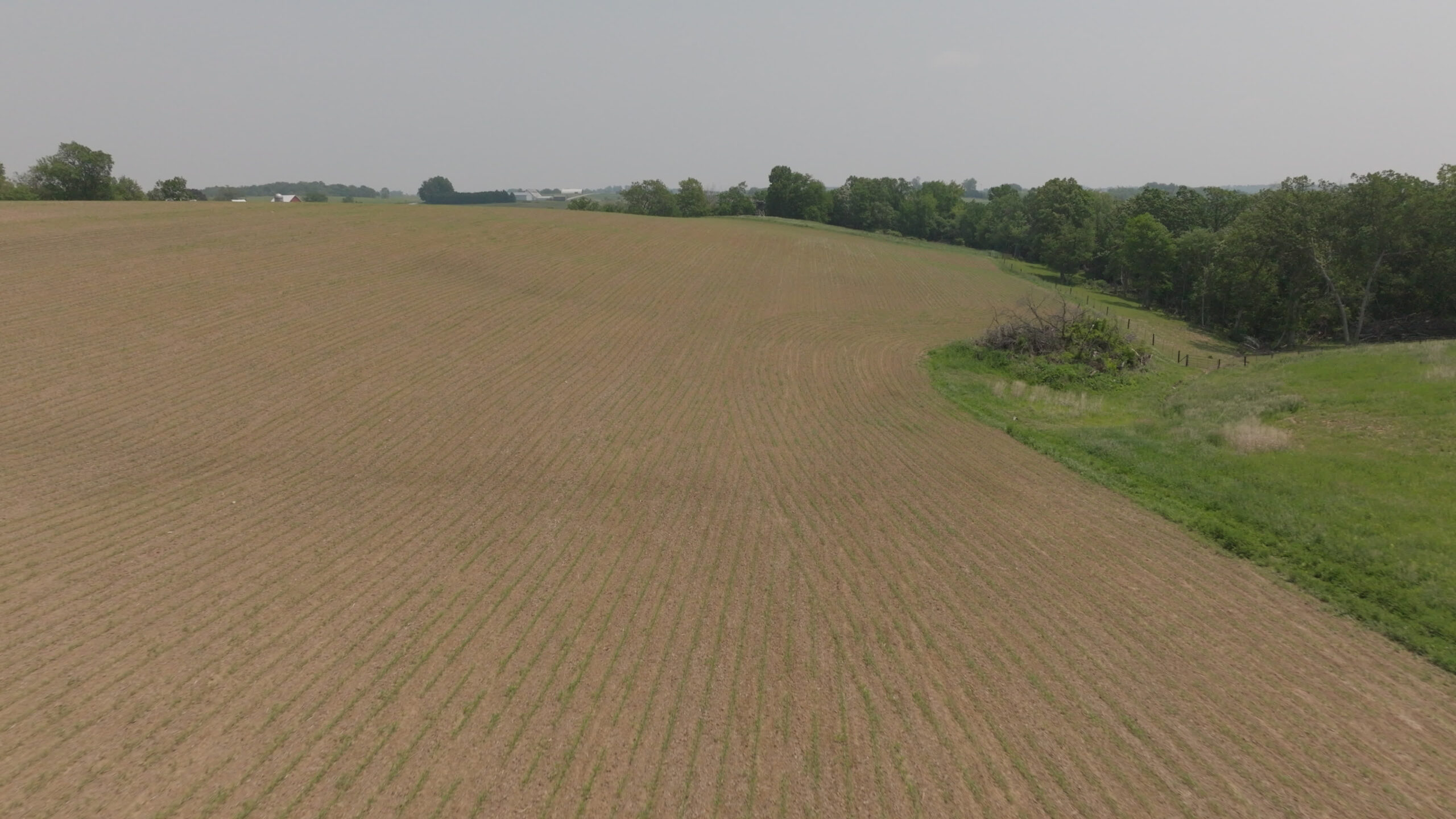 Exceptional Tract Totaling 104.71 Acres Decorah IA