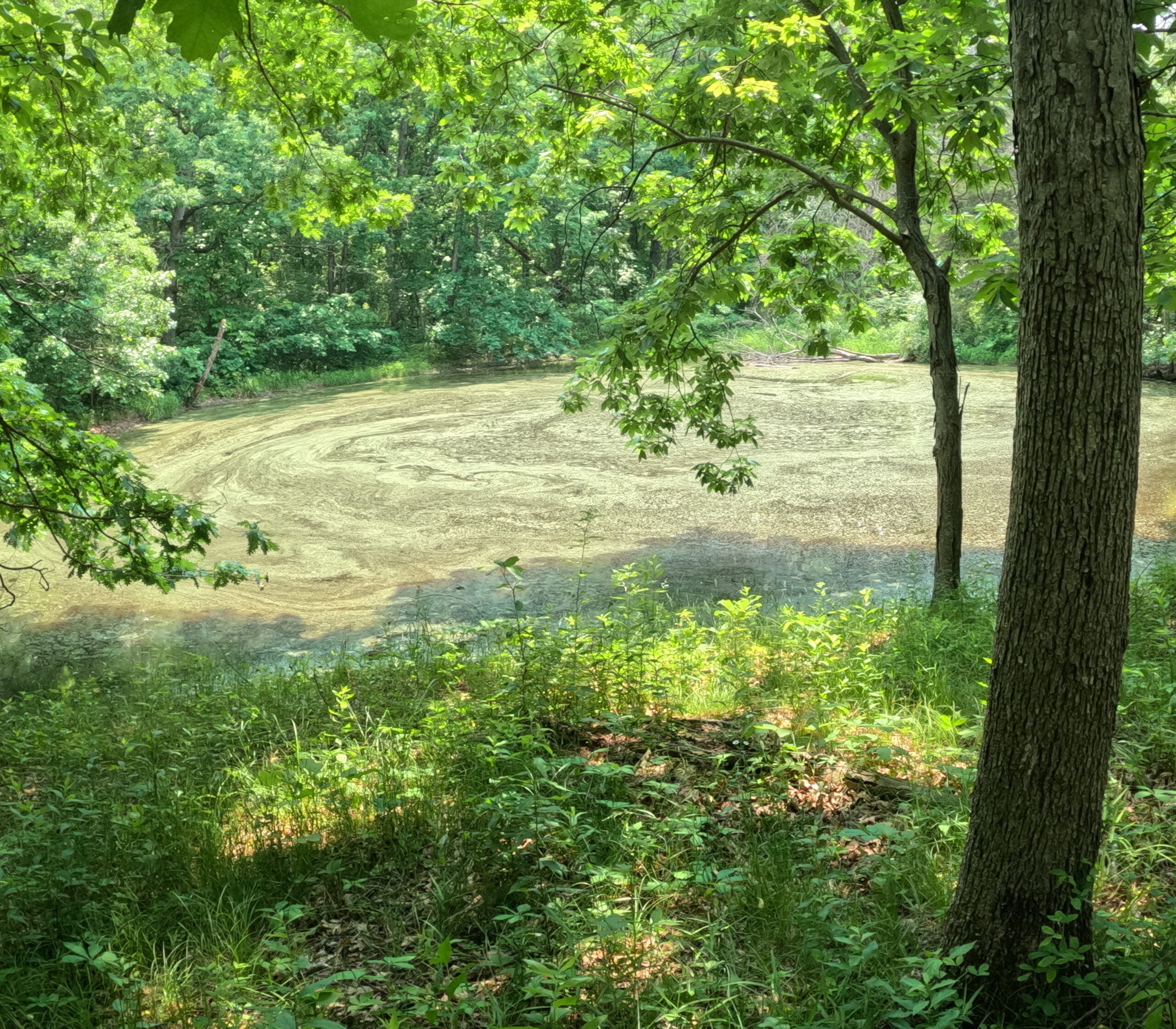 Outstanding Hunting Property in Northwest Knox County, MO