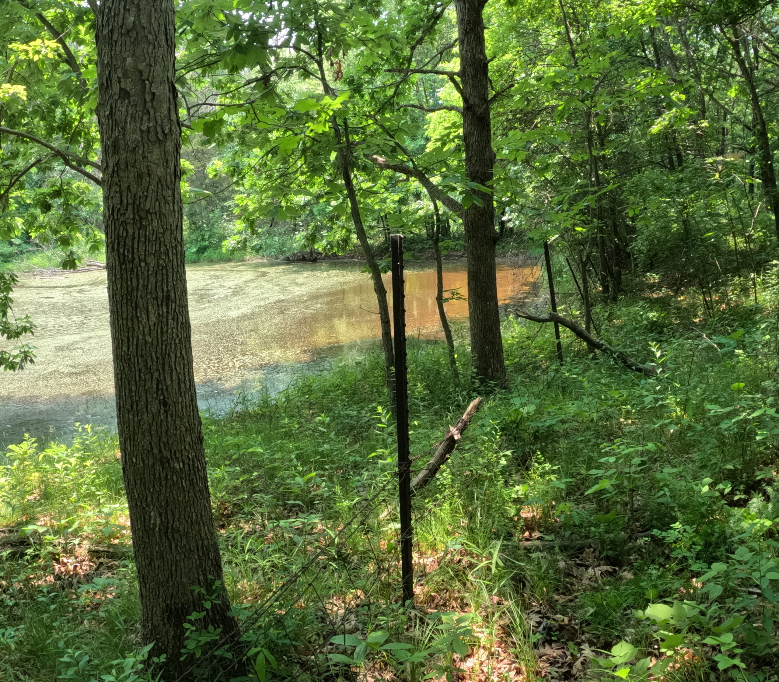 Outstanding Hunting Property in Northwest Knox County, MO