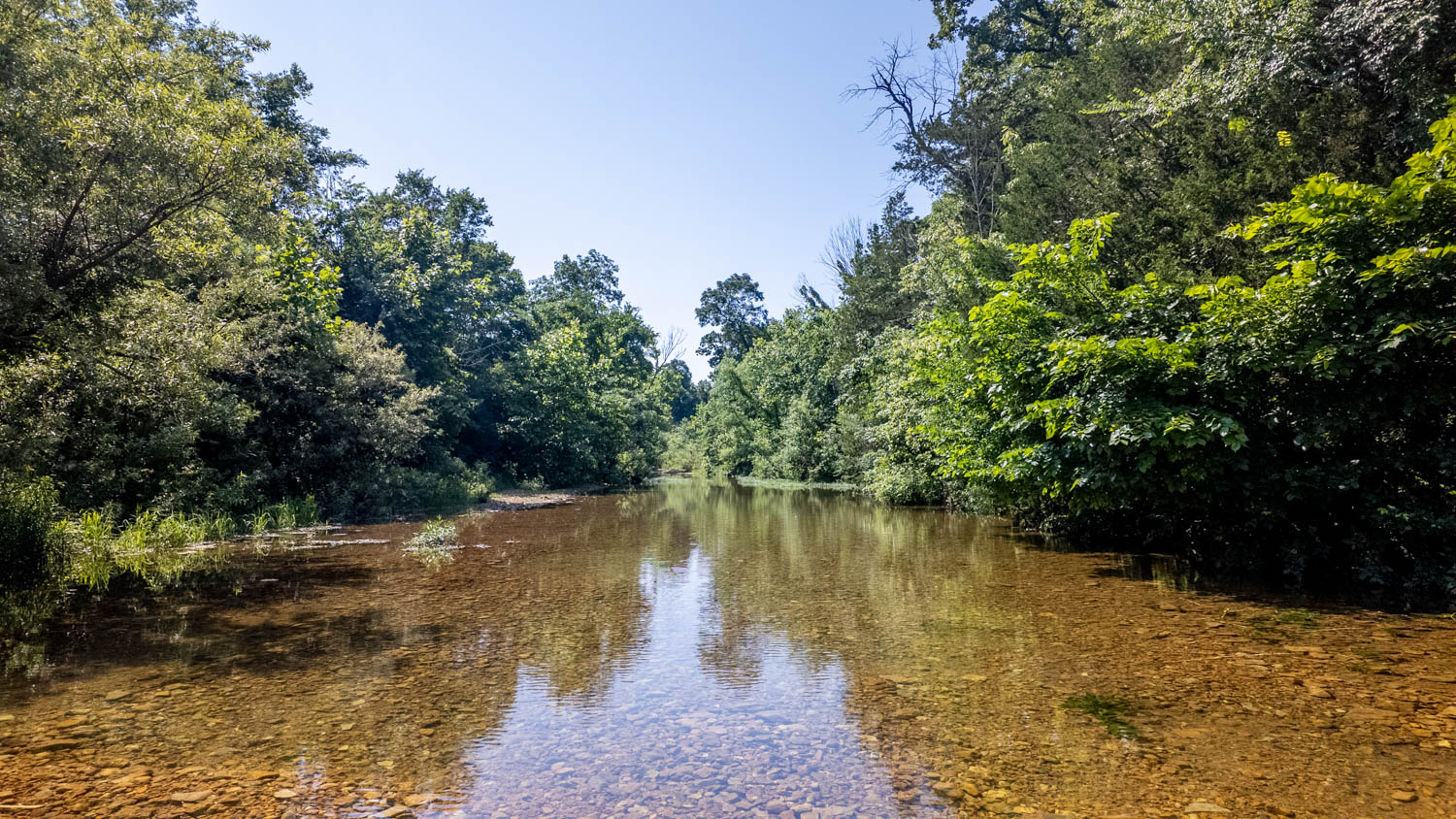 440-Acre Ranch or Hunter’s Retreat – Ultimate Seclusion and Natural Beauty