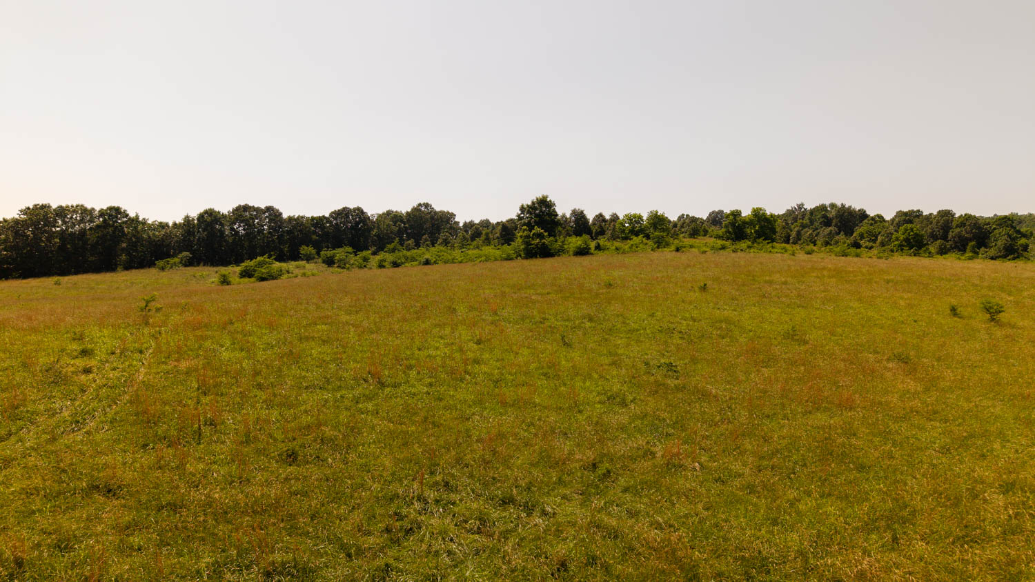 440-Acre Ranch or Hunter’s Retreat – Ultimate Seclusion and Natural Beauty