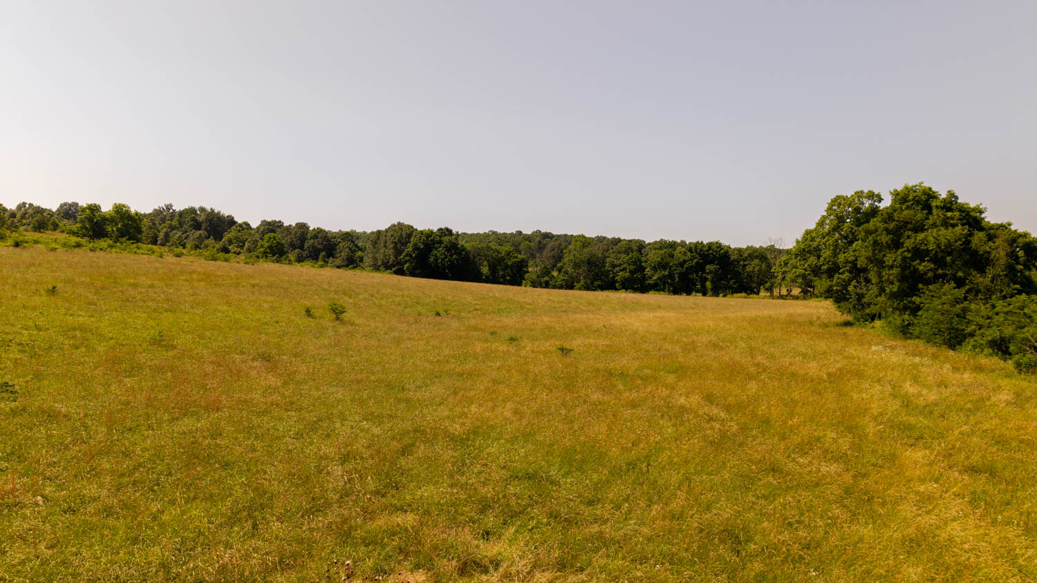 440-Acre Ranch or Hunter’s Retreat – Ultimate Seclusion and Natural Beauty