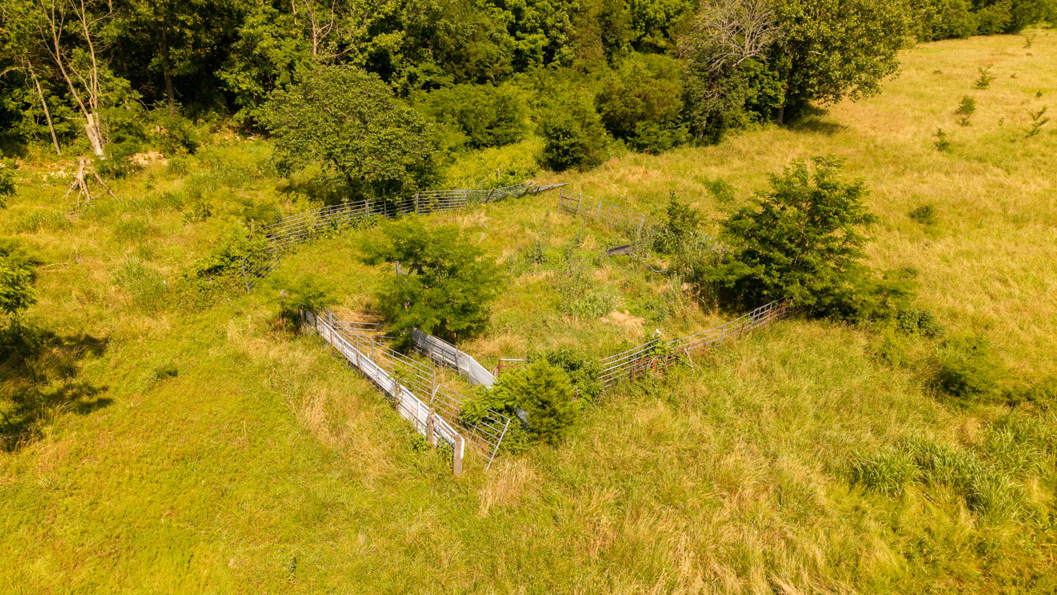 440-Acre Ranch or Hunter’s Retreat – Ultimate Seclusion and Natural Beauty