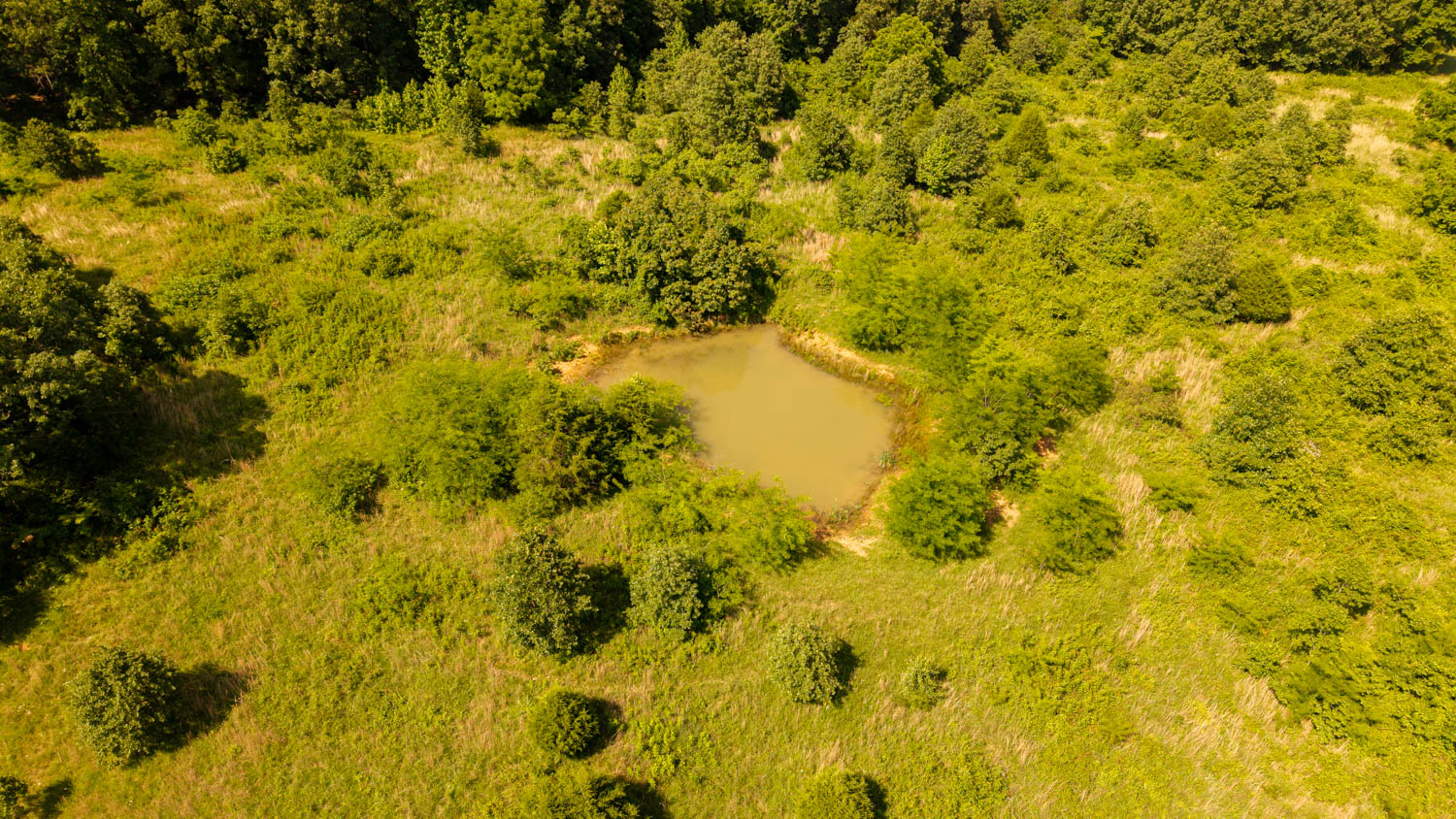 440-Acre Ranch or Hunter’s Retreat – Ultimate Seclusion and Natural Beauty