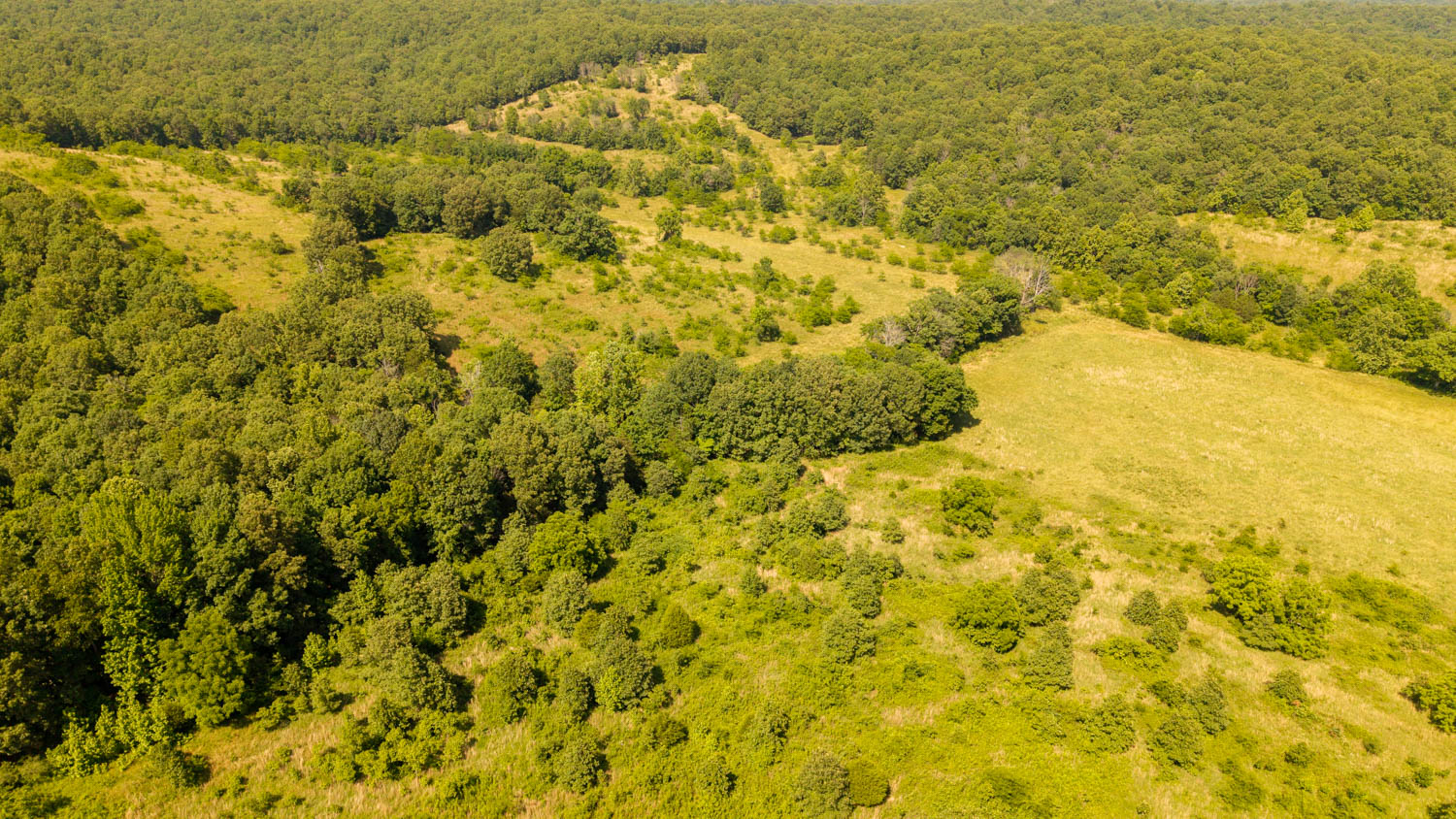 440-Acre Ranch or Hunter’s Retreat – Ultimate Seclusion and Natural Beauty