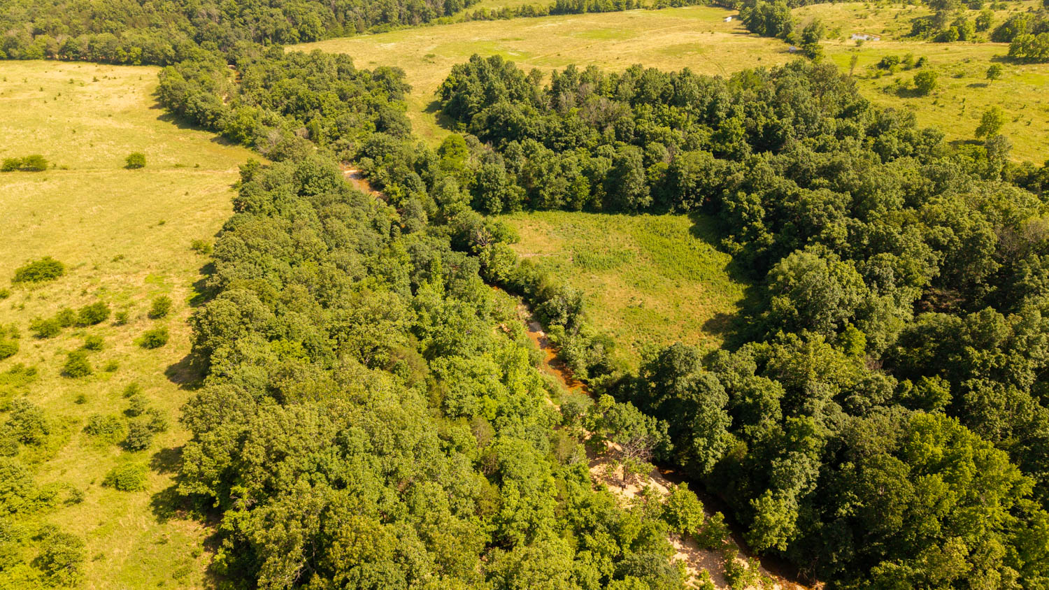 440-Acre Ranch or Hunter’s Retreat – Ultimate Seclusion and Natural Beauty