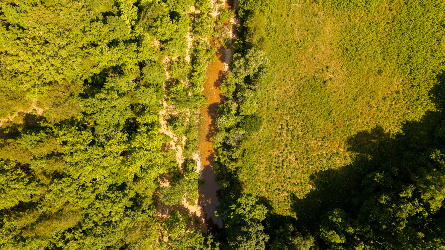 440-Acre Ranch or Hunter’s Retreat – Ultimate Seclusion and Natural Beauty