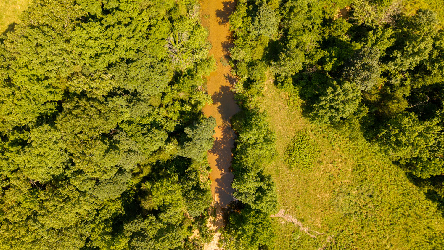 440-Acre Ranch or Hunter’s Retreat – Ultimate Seclusion and Natural Beauty