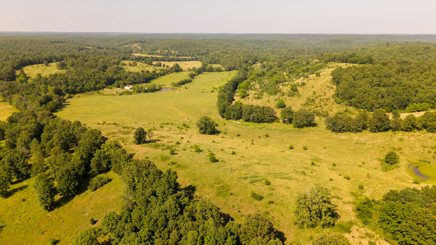 440-Acre Ranch or Hunter’s Retreat – Ultimate Seclusion and Natural Beauty