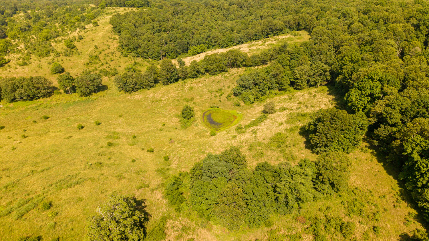 440-Acre Ranch or Hunter’s Retreat – Ultimate Seclusion and Natural Beauty