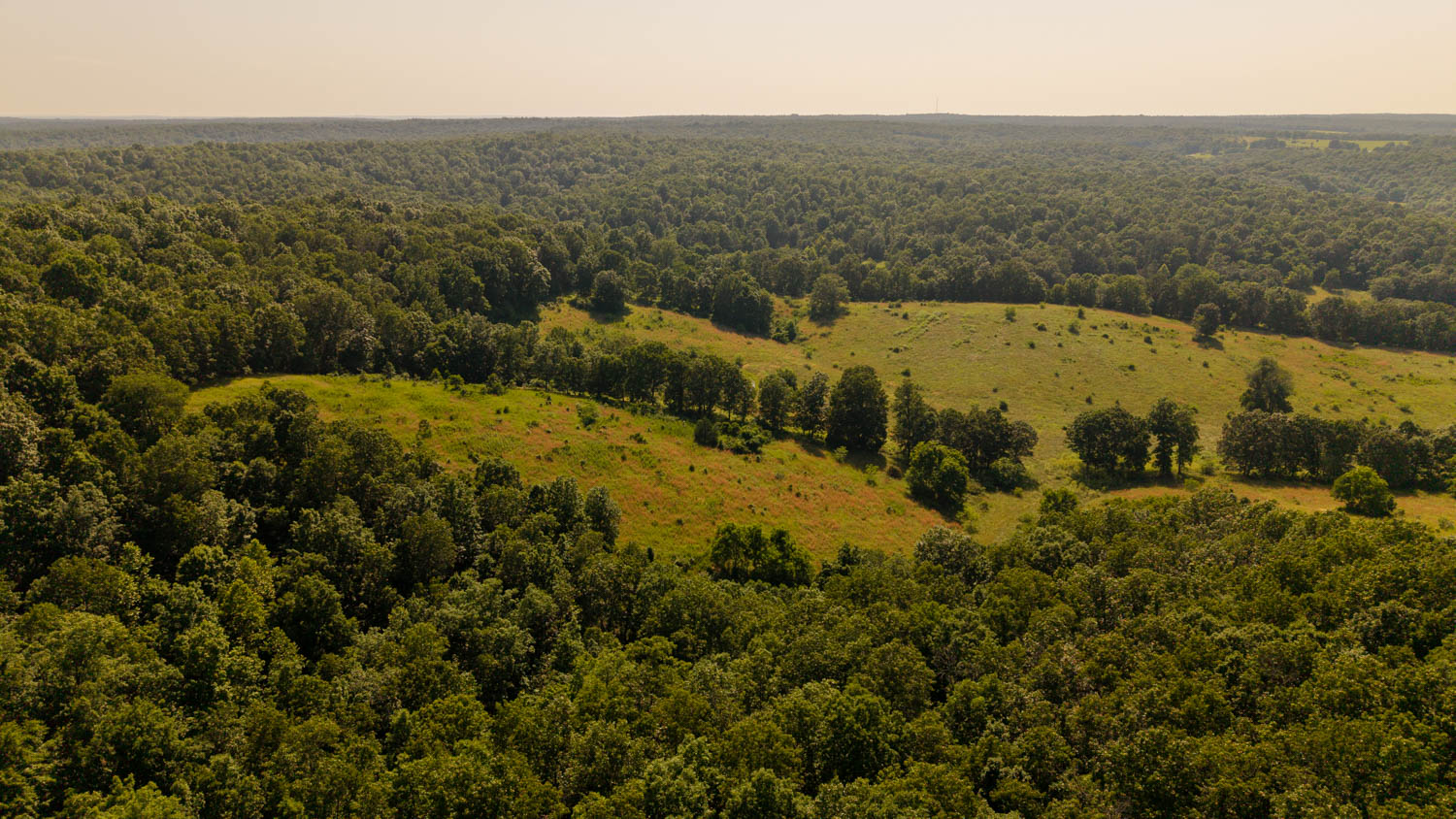 440-Acre Ranch or Hunter’s Retreat – Ultimate Seclusion and Natural Beauty