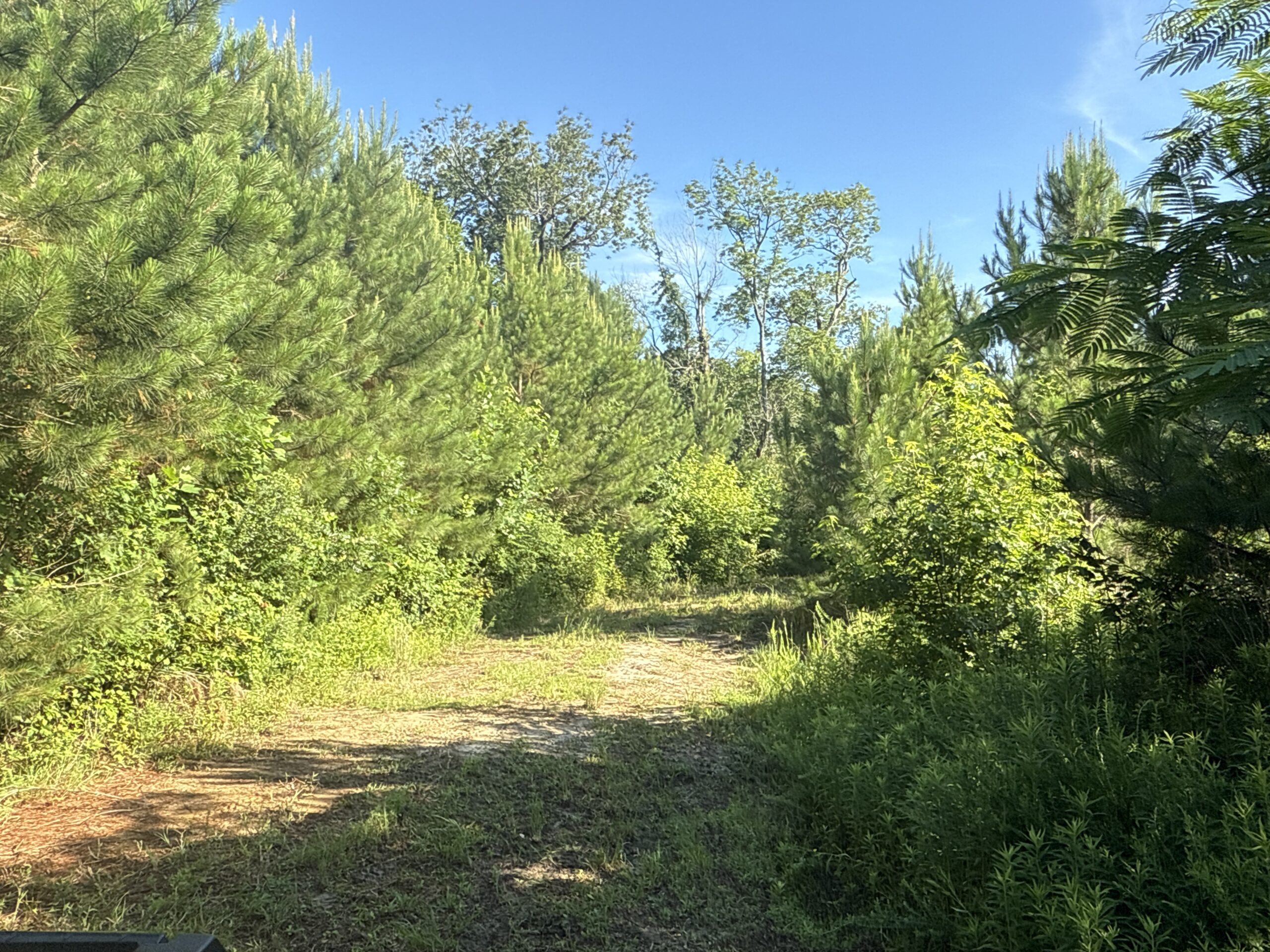 101 Acres on Roanoke River — Hunt, Fish & Build!
