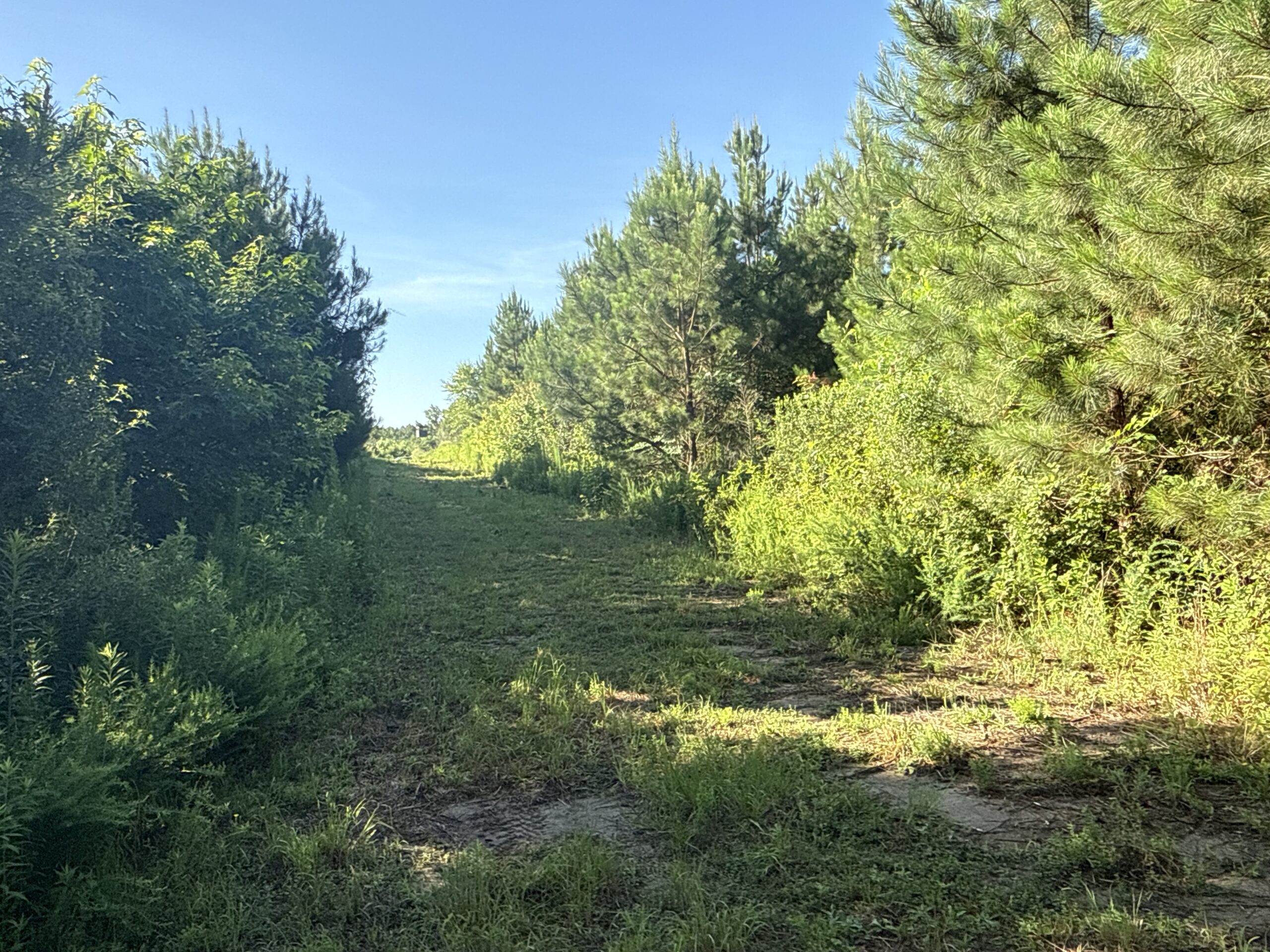 101 Acres on Roanoke River — Hunt, Fish & Build!