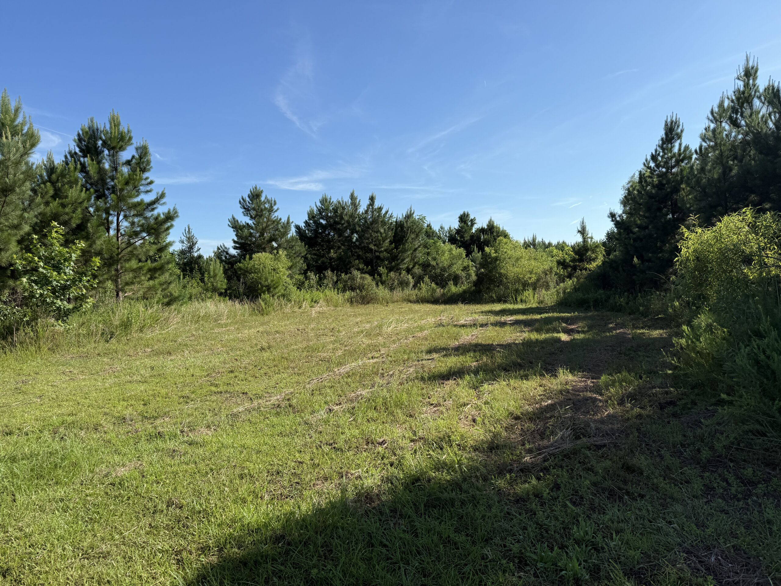 101 Acres on Roanoke River — Hunt, Fish & Build!