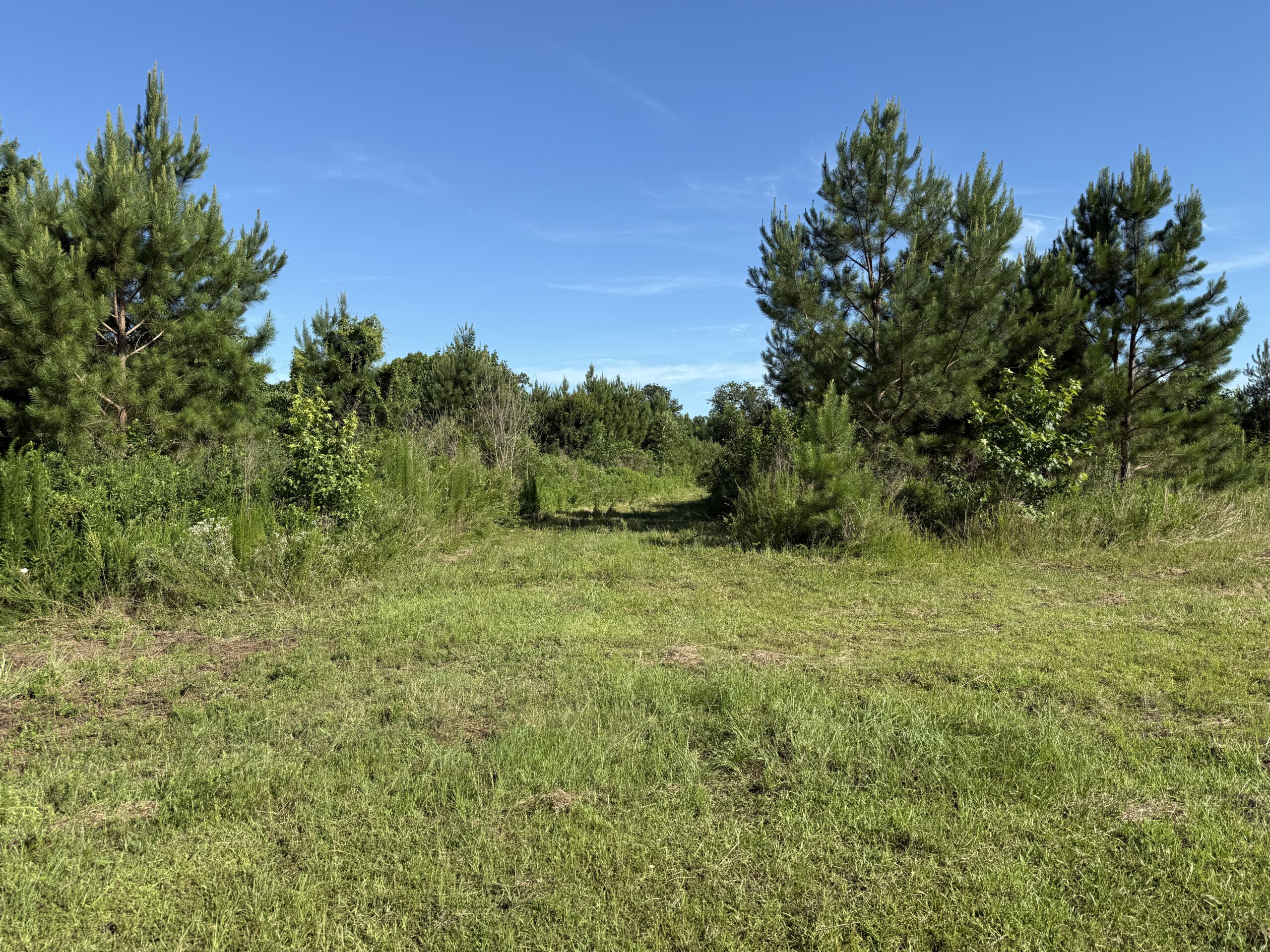 101 Acres on Roanoke River — Hunt, Fish & Build!