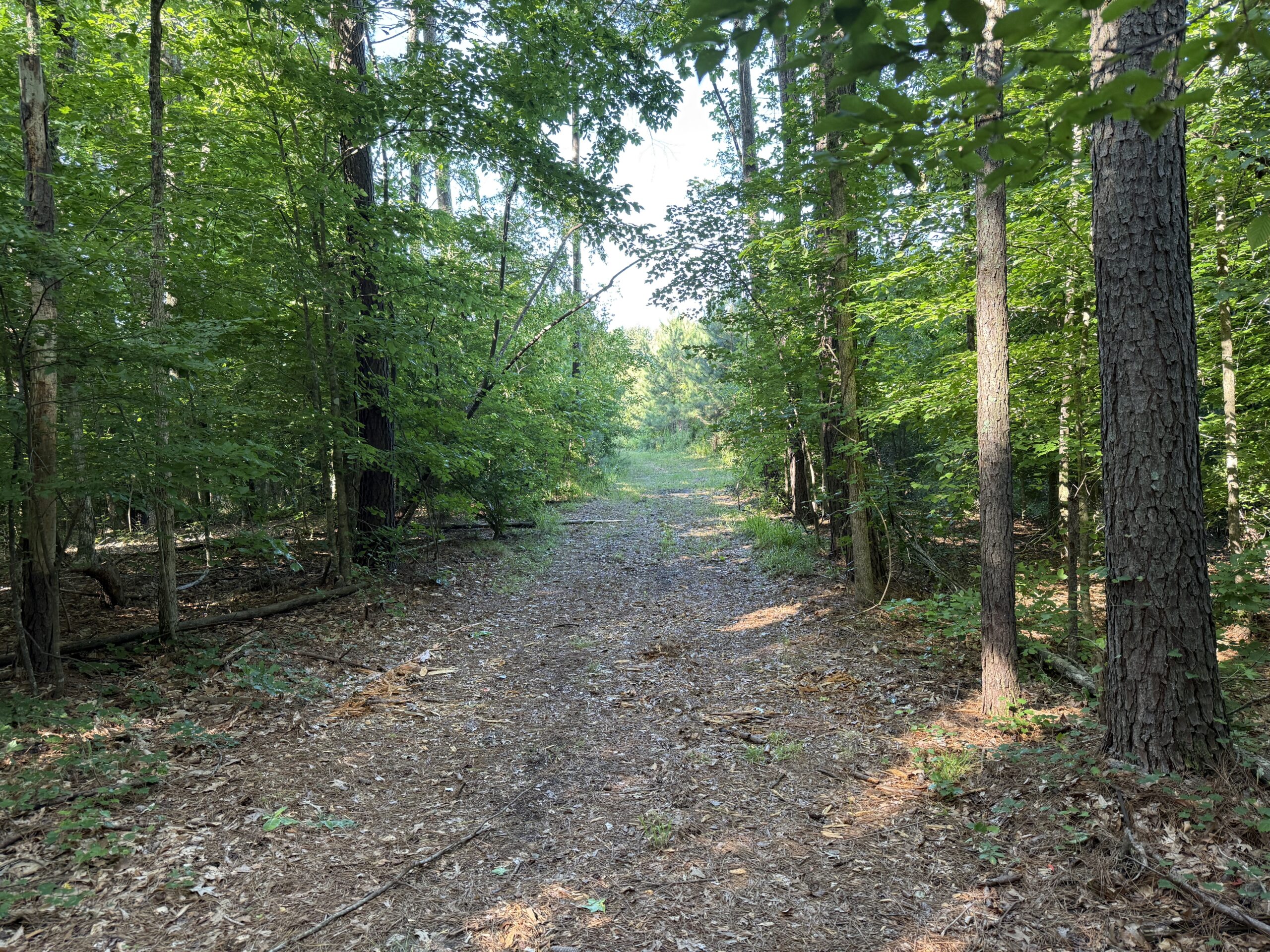 101 Acres on Roanoke River — Hunt, Fish & Build!
