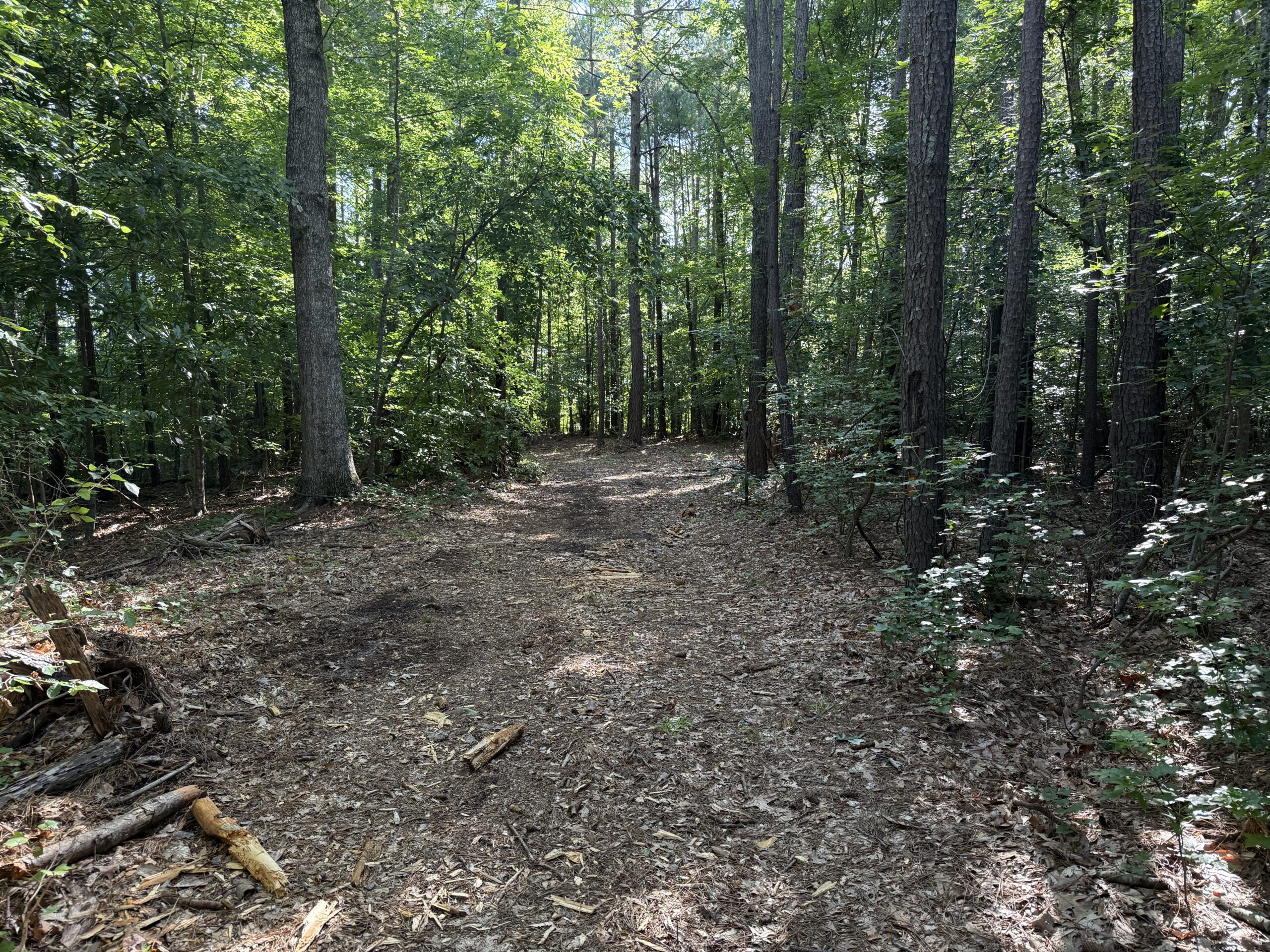 101 Acres on Roanoke River — Hunt, Fish & Build!