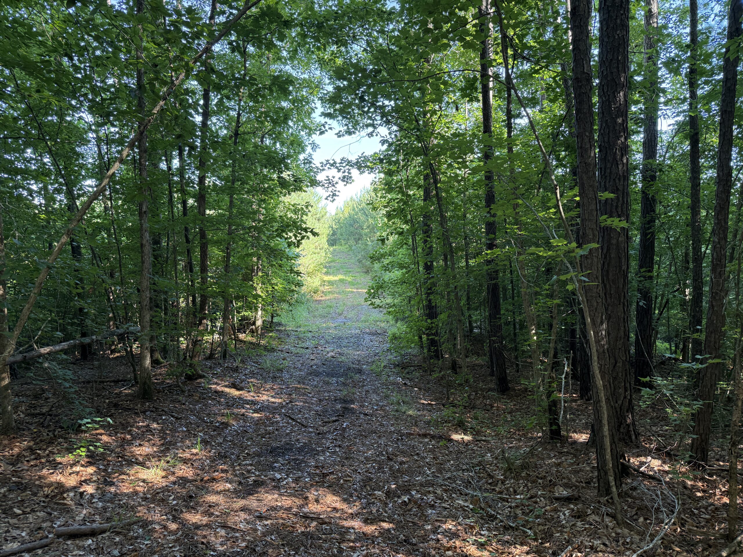 101 Acres on Roanoke River — Hunt, Fish & Build!