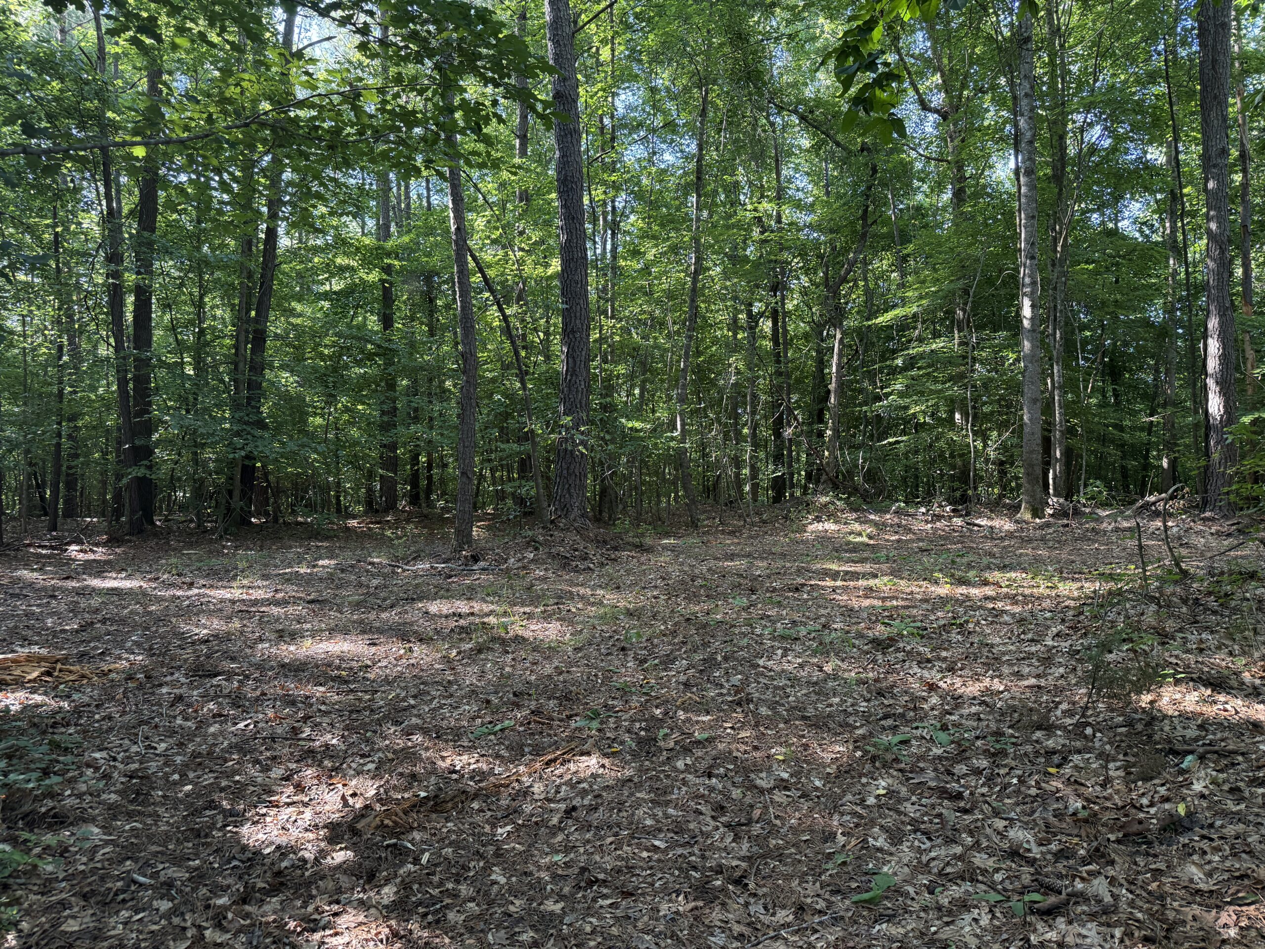 101 Acres on Roanoke River — Hunt, Fish & Build!
