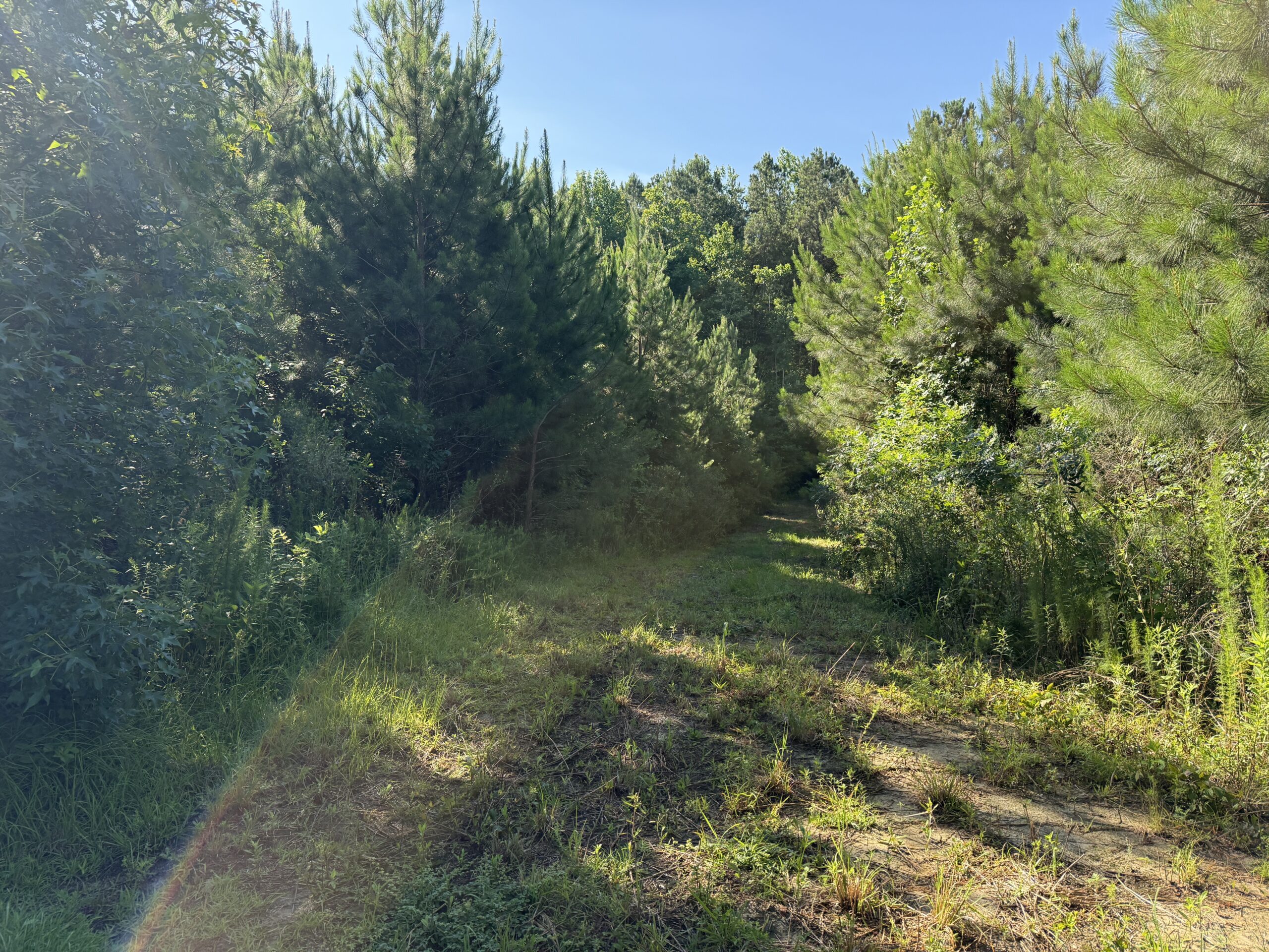 101 Acres on Roanoke River — Hunt, Fish & Build!